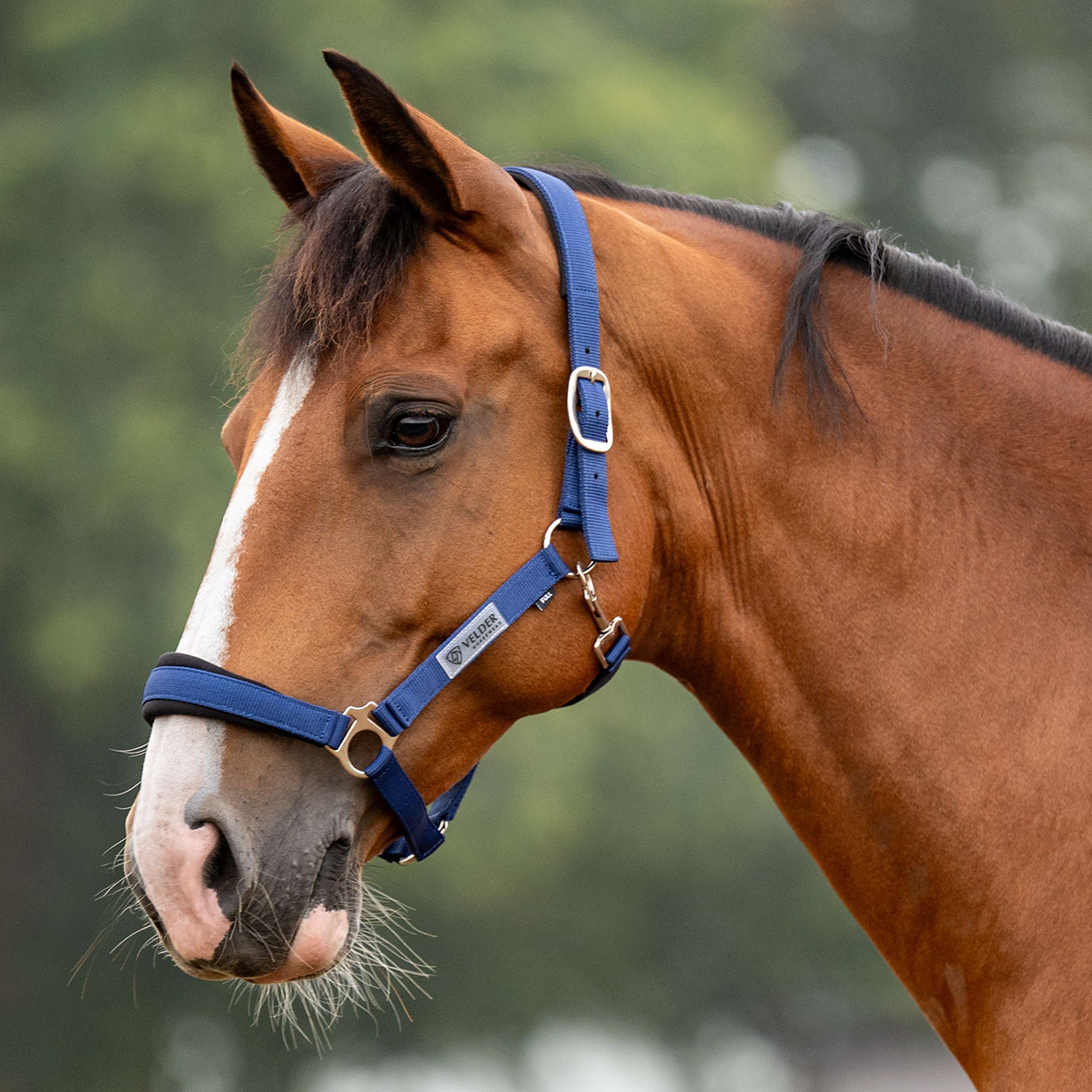 Velder Horsewear Essentials Halfter Basic Comfort Navy