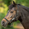 Velder Horsewear Essentials Halfter Triple Adjustable Schwarz