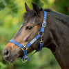Velder Horsewear Essentials Halfter Triple Adjustable Navy