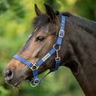 Velder Horsewear Essentials Halfter Triple Adjustable Navy
