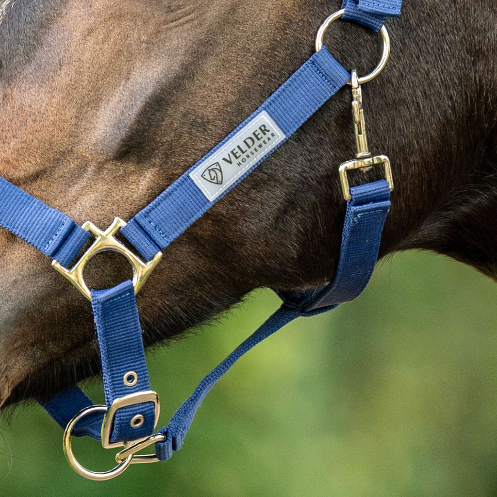 Velder Horsewear Essentials Halfter Triple Adjustable Navy