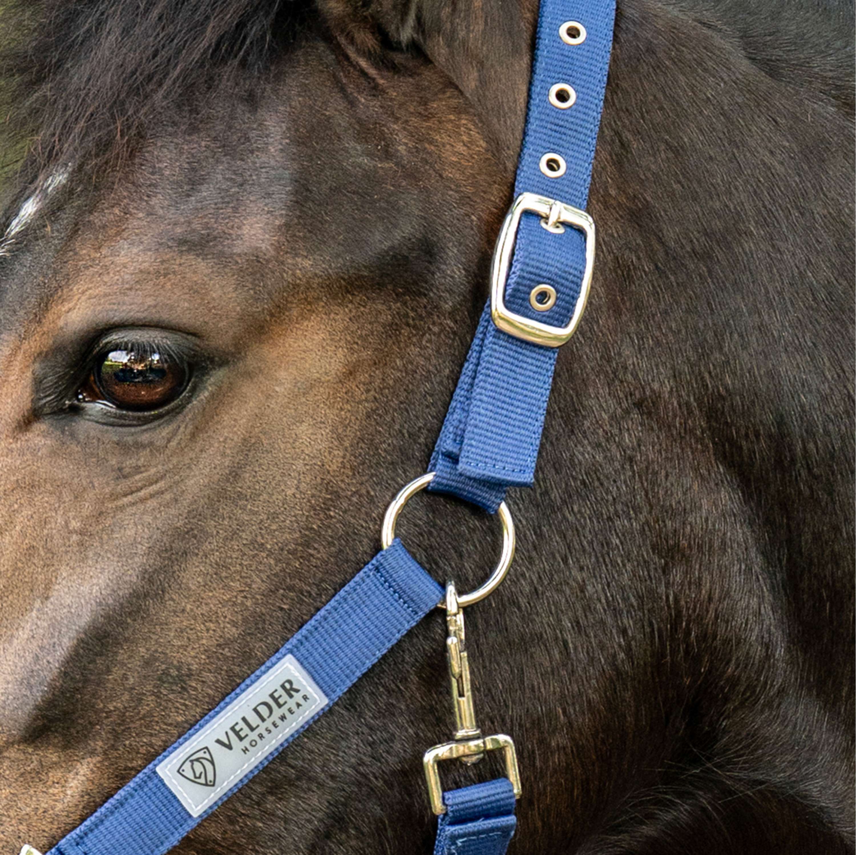 Velder Horsewear Essentials Halfter Triple Adjustable Navy