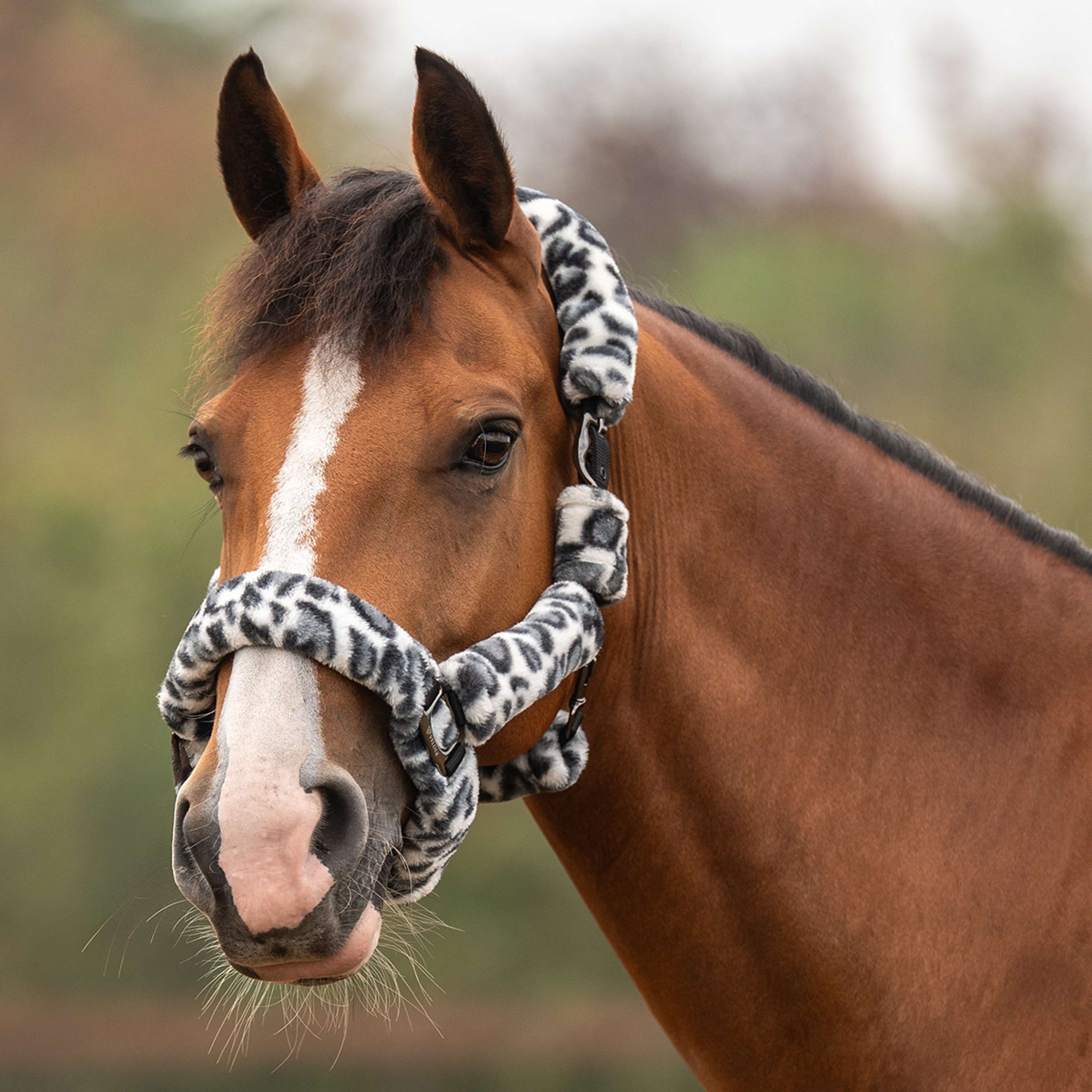 Velder Horsewear Premium Halfter Comfort Fur Snow Leopard Grau