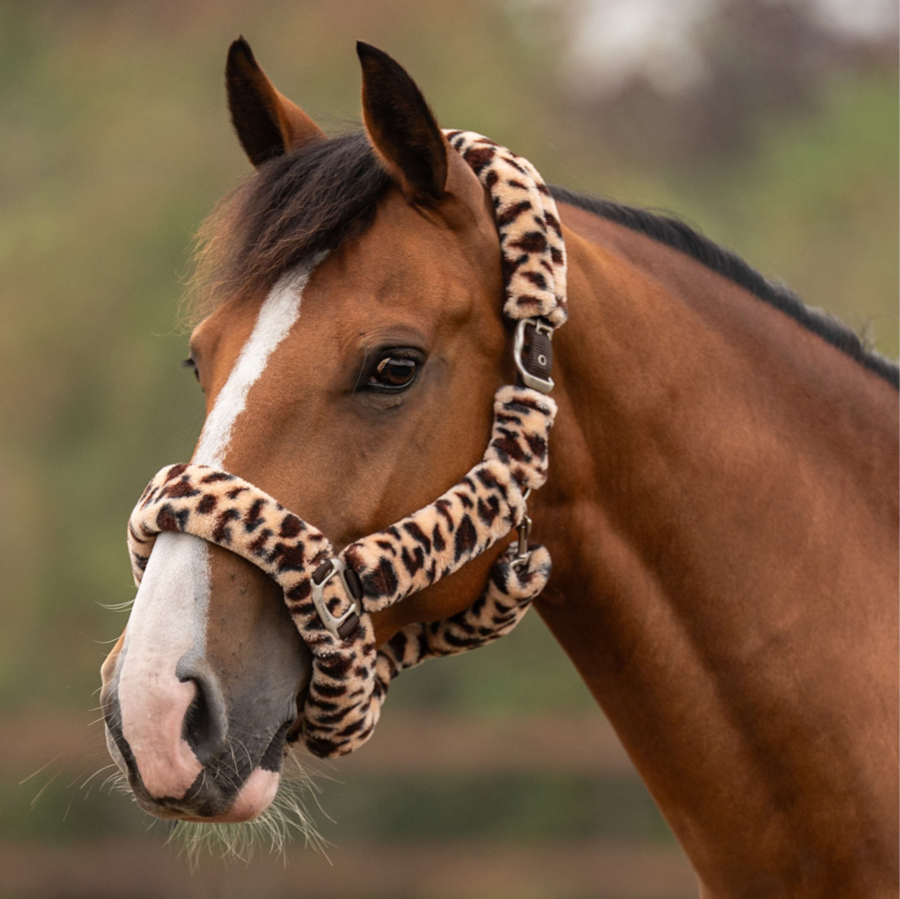 Velder Horsewear Premium Halfter Comfort Fur Snow Leopard Braun