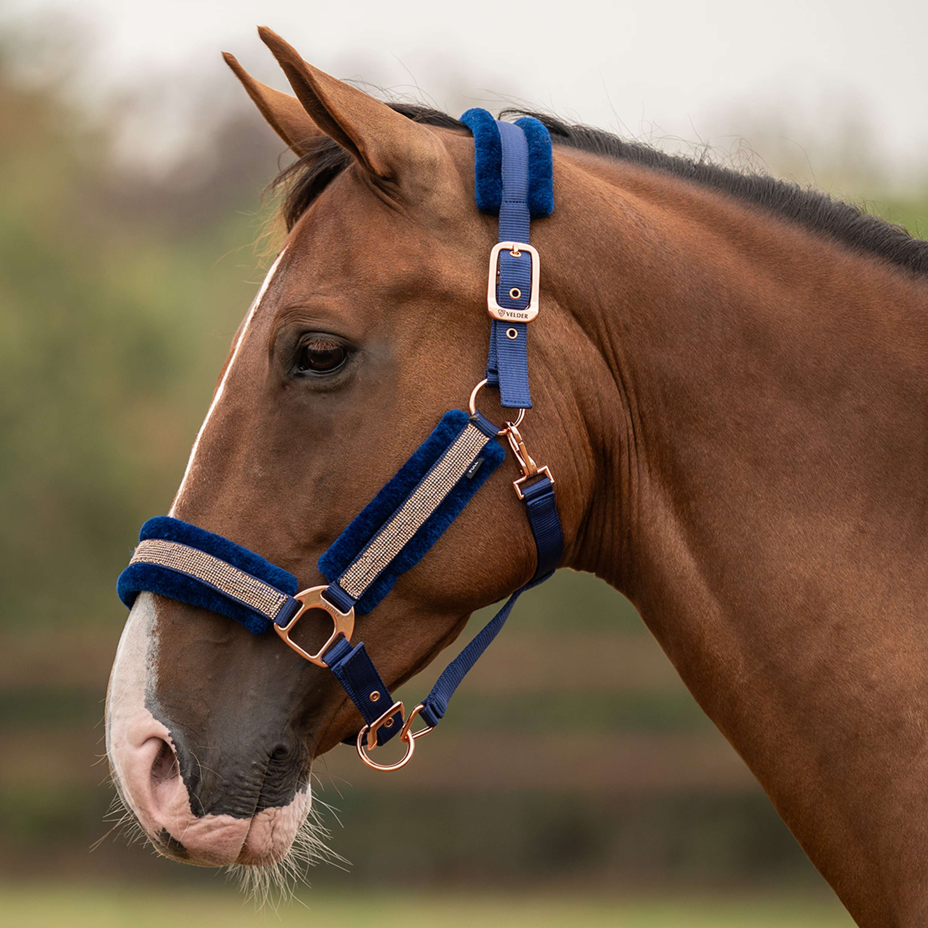 Velder Horsewear Essentials Halfter Soft Sparkle Navy