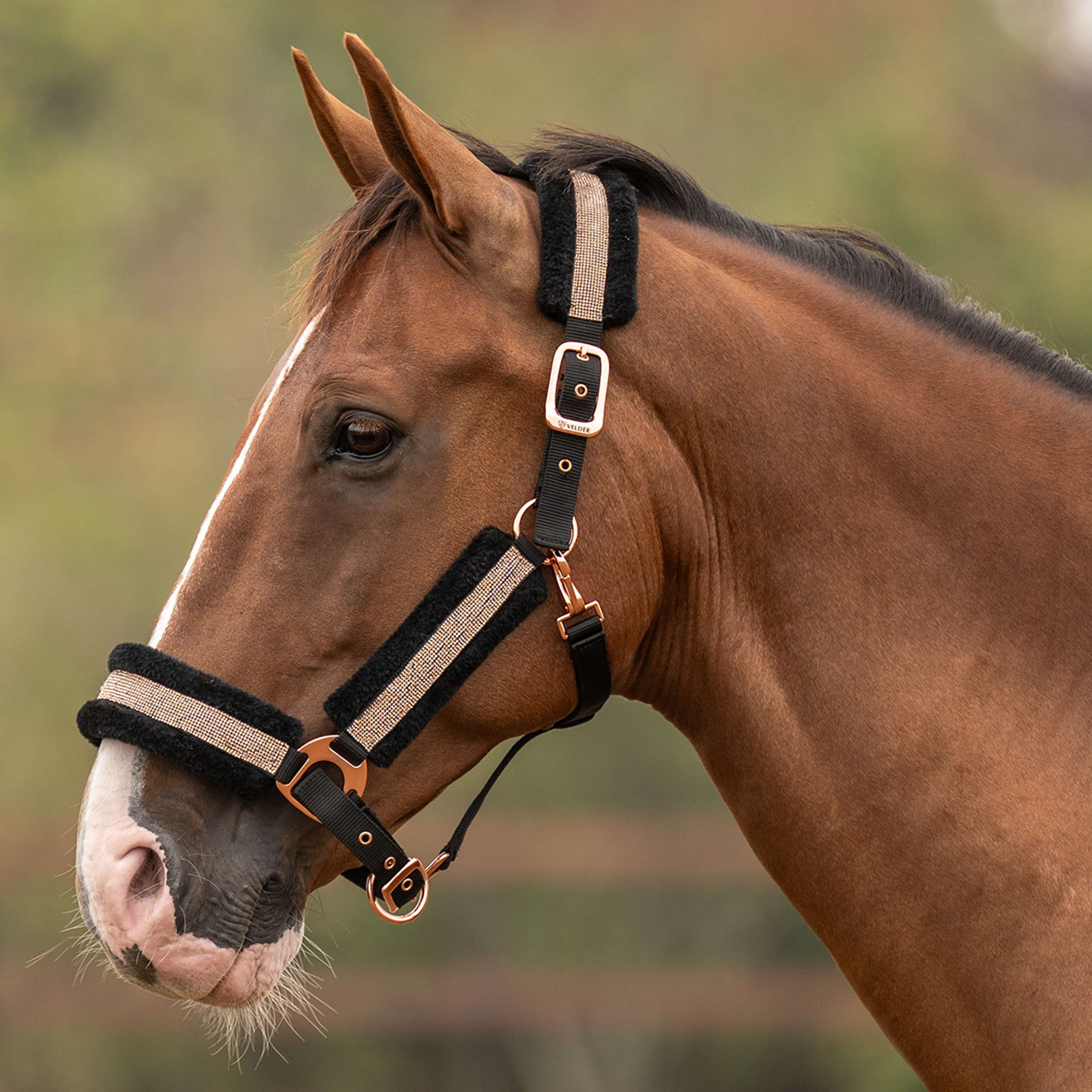 Velder Horsewear Essentials Halfter Soft Sparkle Schwarz