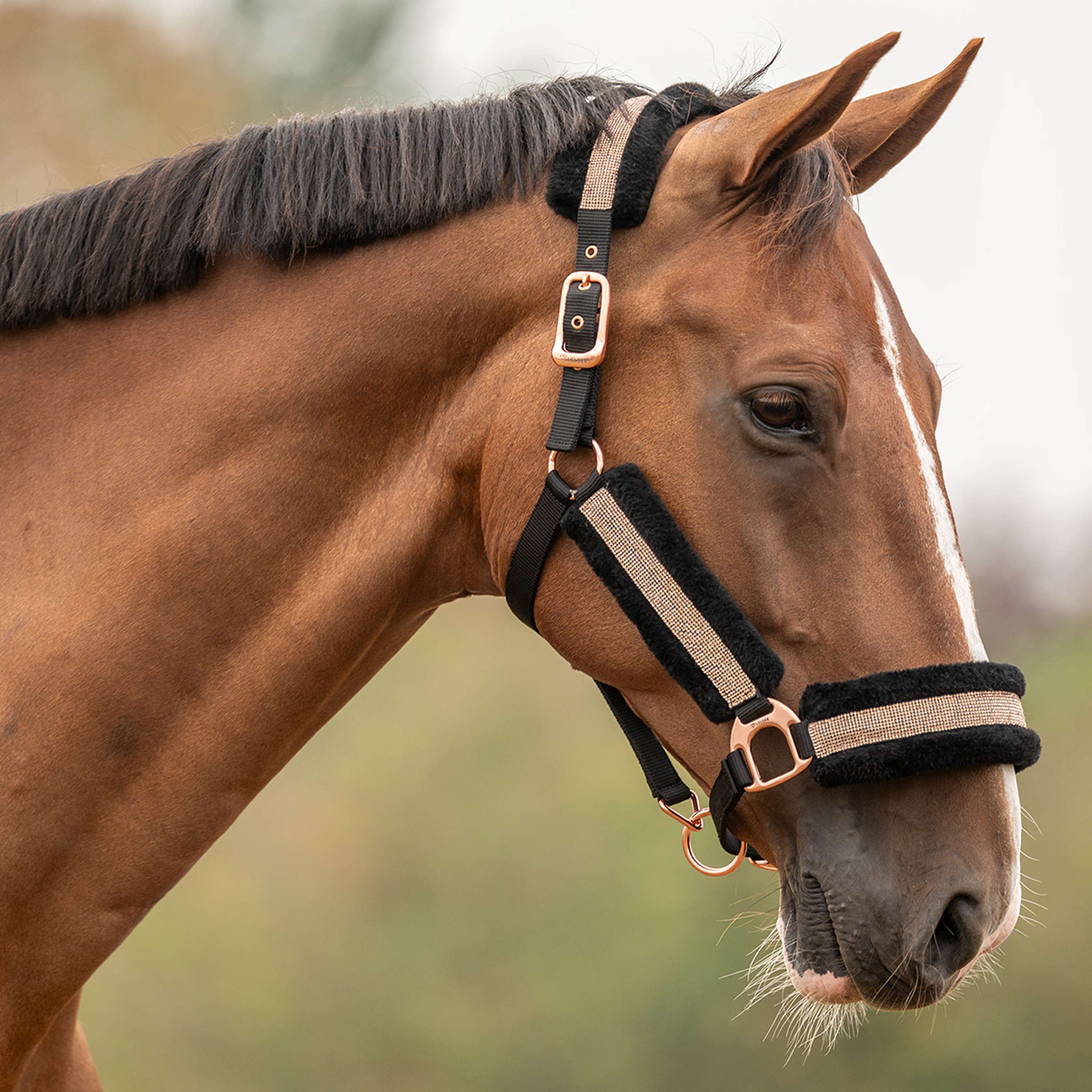 Velder Horsewear Essentials Halfter Soft Sparkle Schwarz