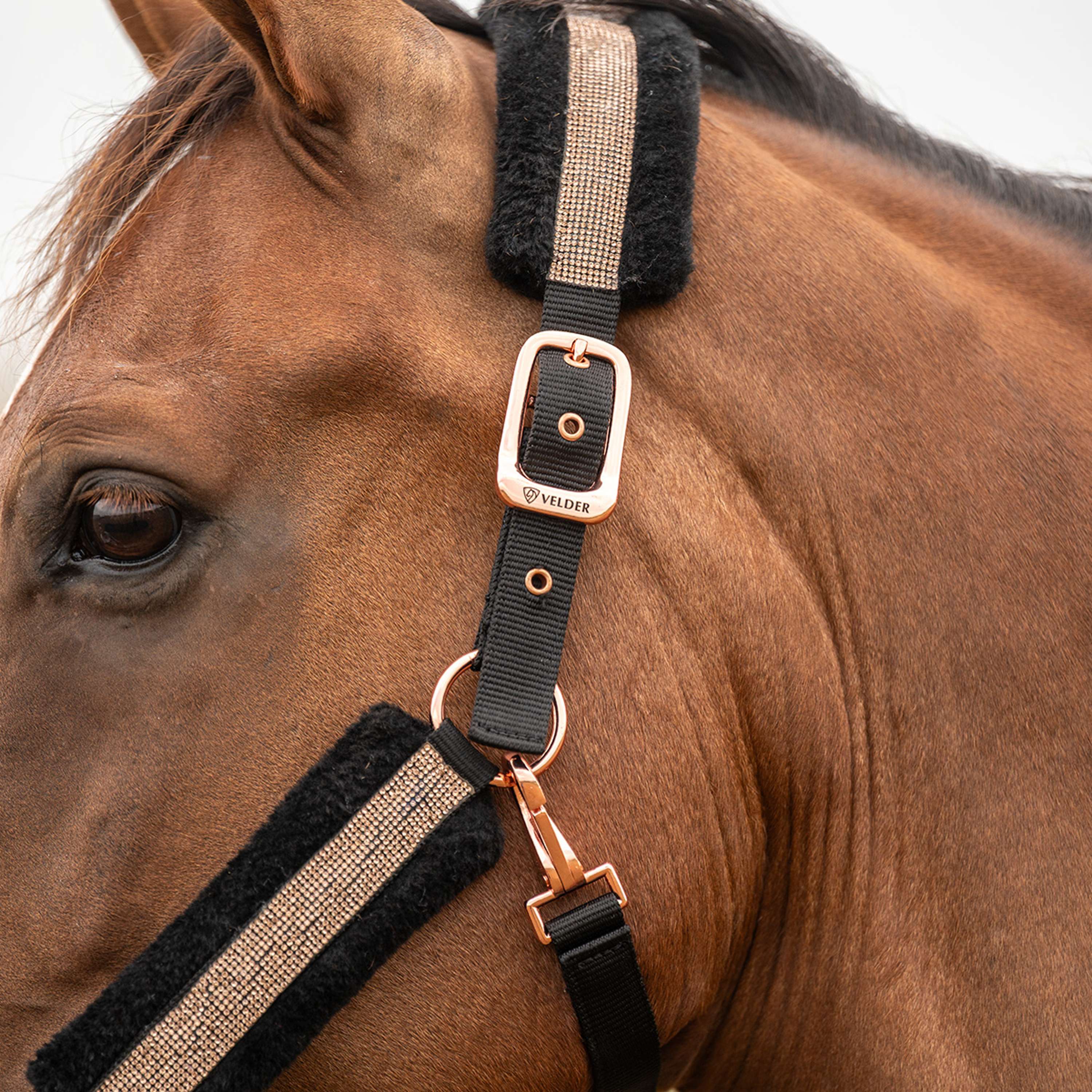 Velder Horsewear Essentials Halfter Soft Sparkle Schwarz