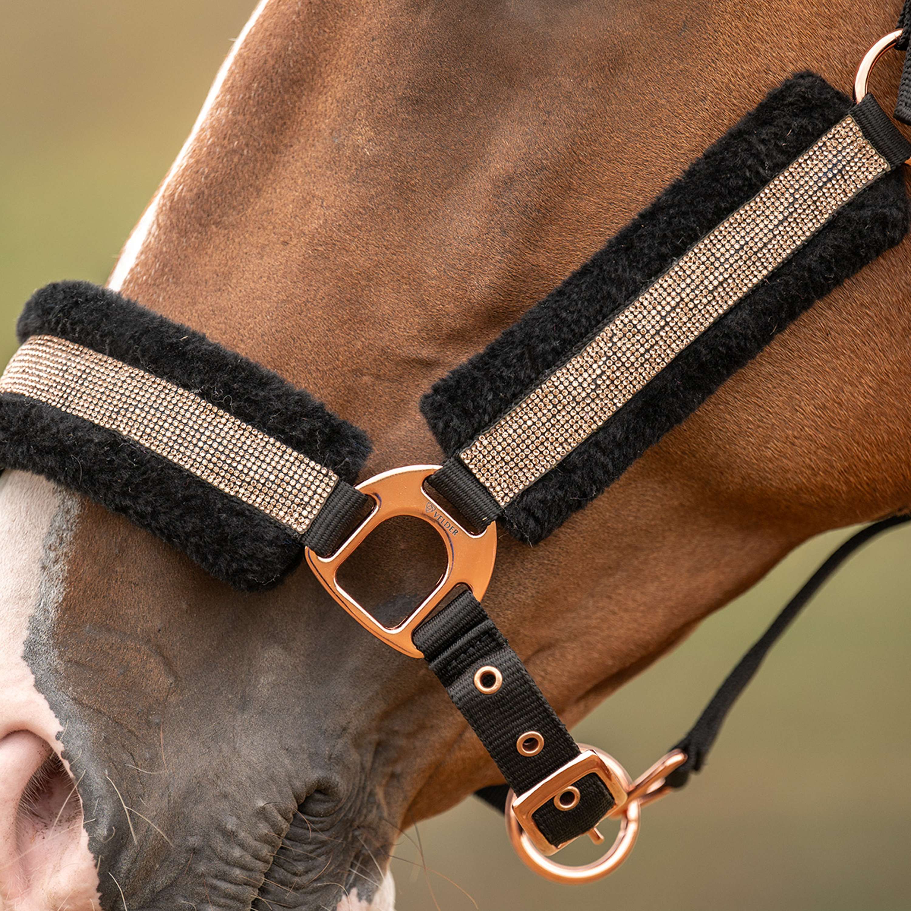 Velder Horsewear Essentials Halfter Soft Sparkle Schwarz