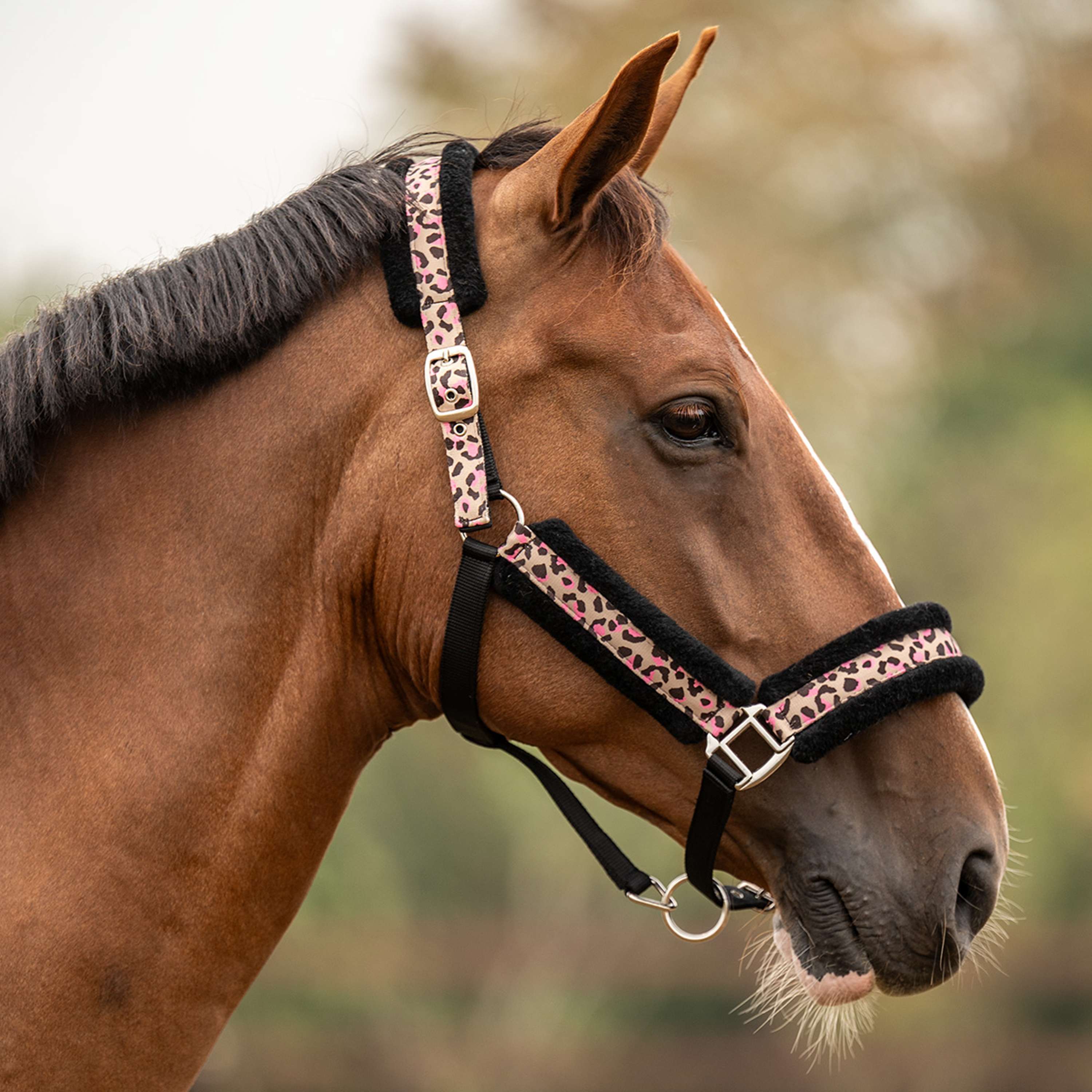 Velder Horsewear Essentials Halfter Savanna Soft Sandstone Leopard