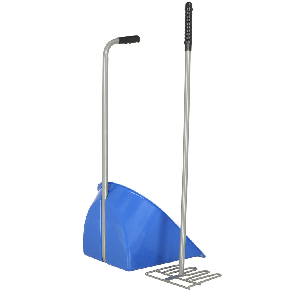 Agradi Horse Bollensammler Royal Blue