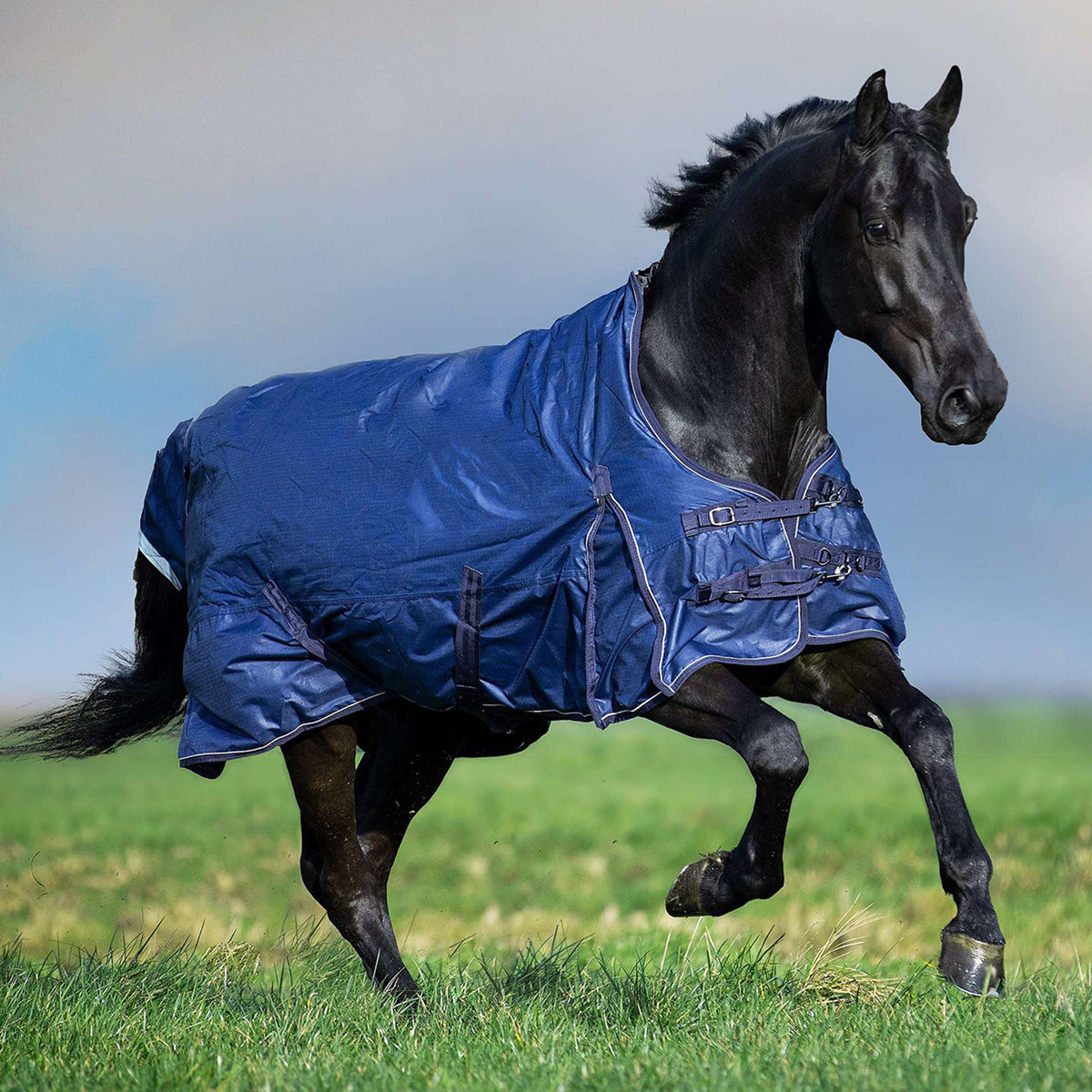 Imperial Riding Regendecke IRHSuper-Dry 0g Navy