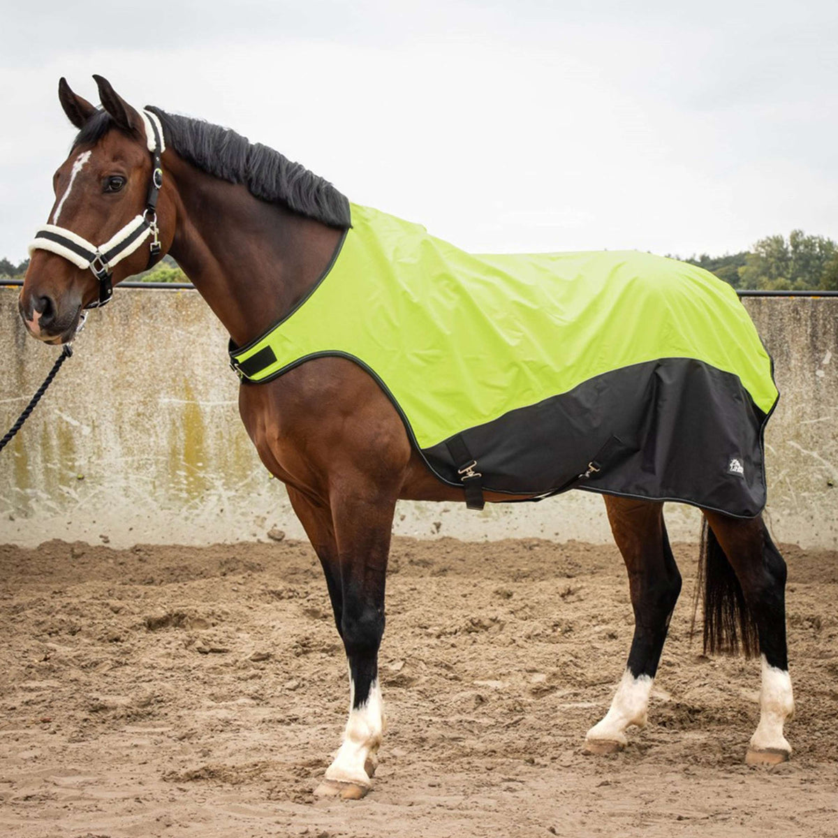 Harry's Horse Führanlagendecke Reflective Waterproof Neon Gelb