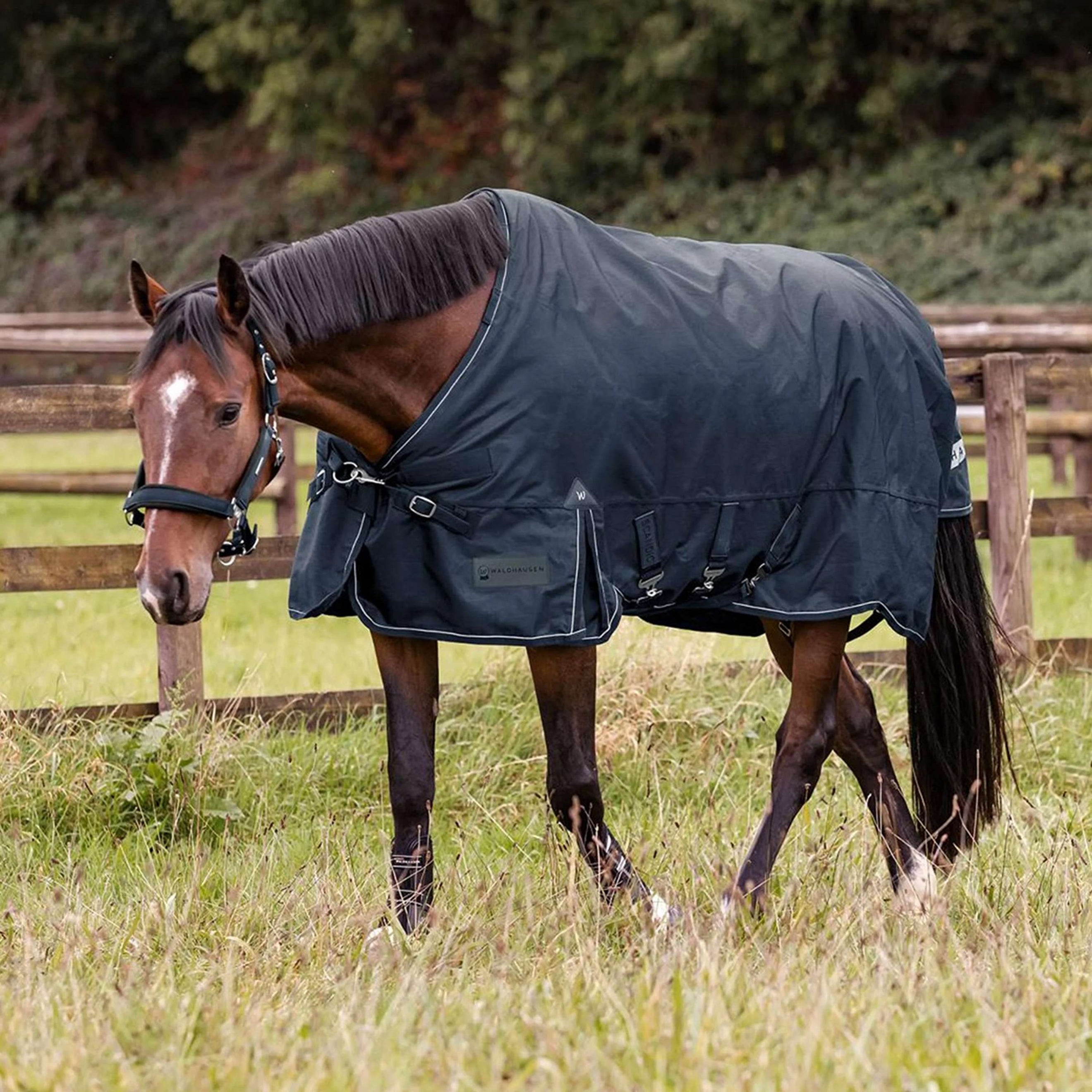 Waldhausen Outdoordecke Scandic Multi-Layer 50/150g Nightblue Waldhausen Outdoordecke Scandic Multi-Layer 50/150g Nightblue