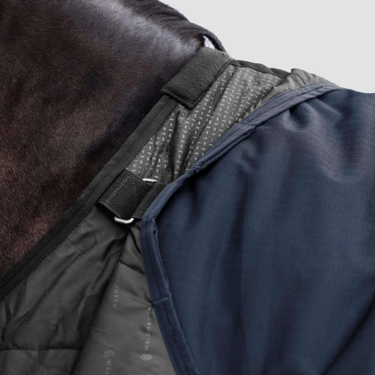 Waldhausen Outdoordecke Scandic Multi-Layer 100/250g Nightblue