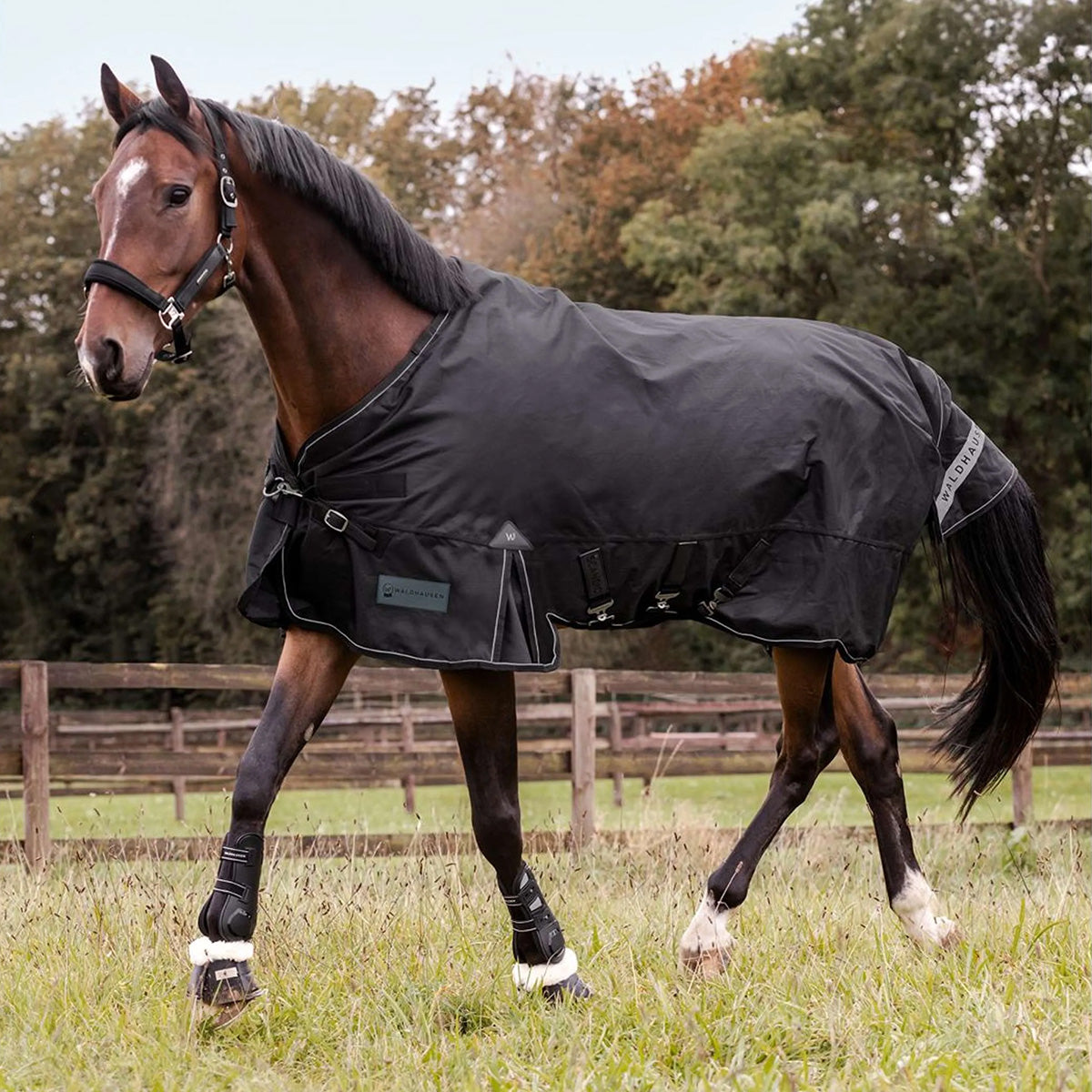 Waldhausen Outdoordecke Scandic Multi-Layer 50/150g Schwarz