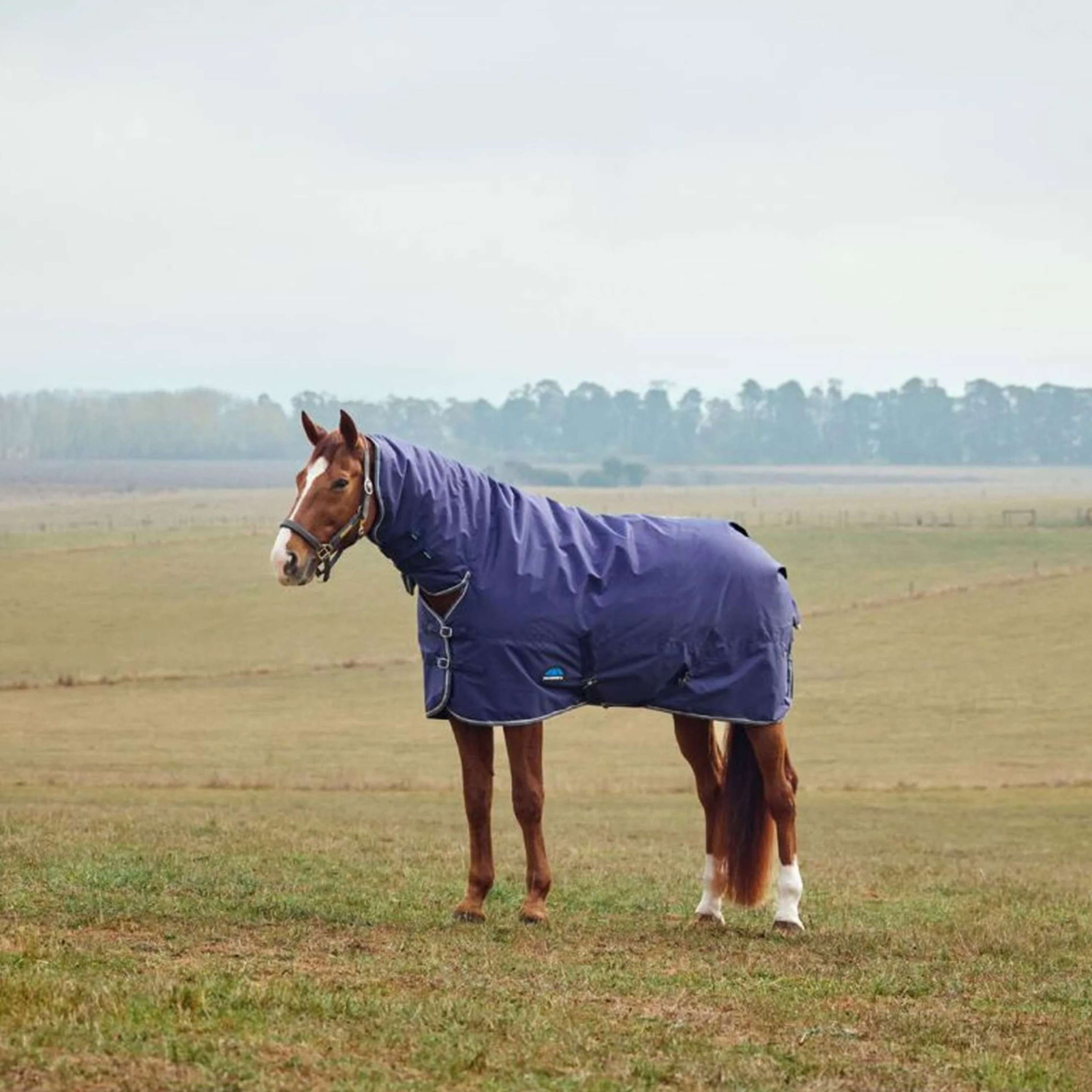 WeatherBeeta ComFiTec Tyro Turnout Combo Neck 50g Navy/Kohle WeatherBeeta ComFiTec Tyro Turnout Combo Neck 50g Navy/Kohle