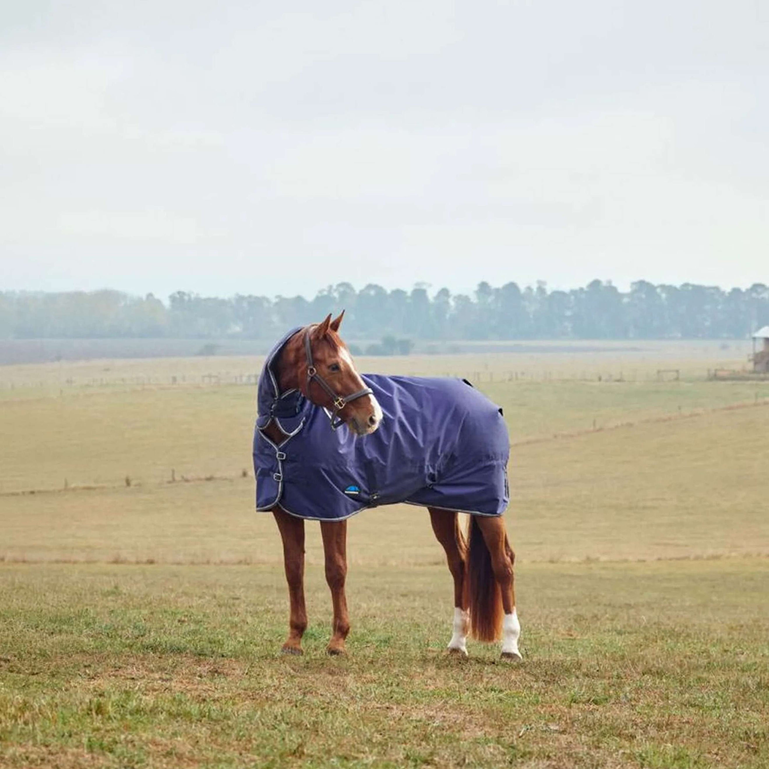 WeatherBeeta ComFiTec Tyro Turnout Combo Neck 50g Navy/Kohle WeatherBeeta ComFiTec Tyro Turnout Combo Neck 50g Navy/Kohle