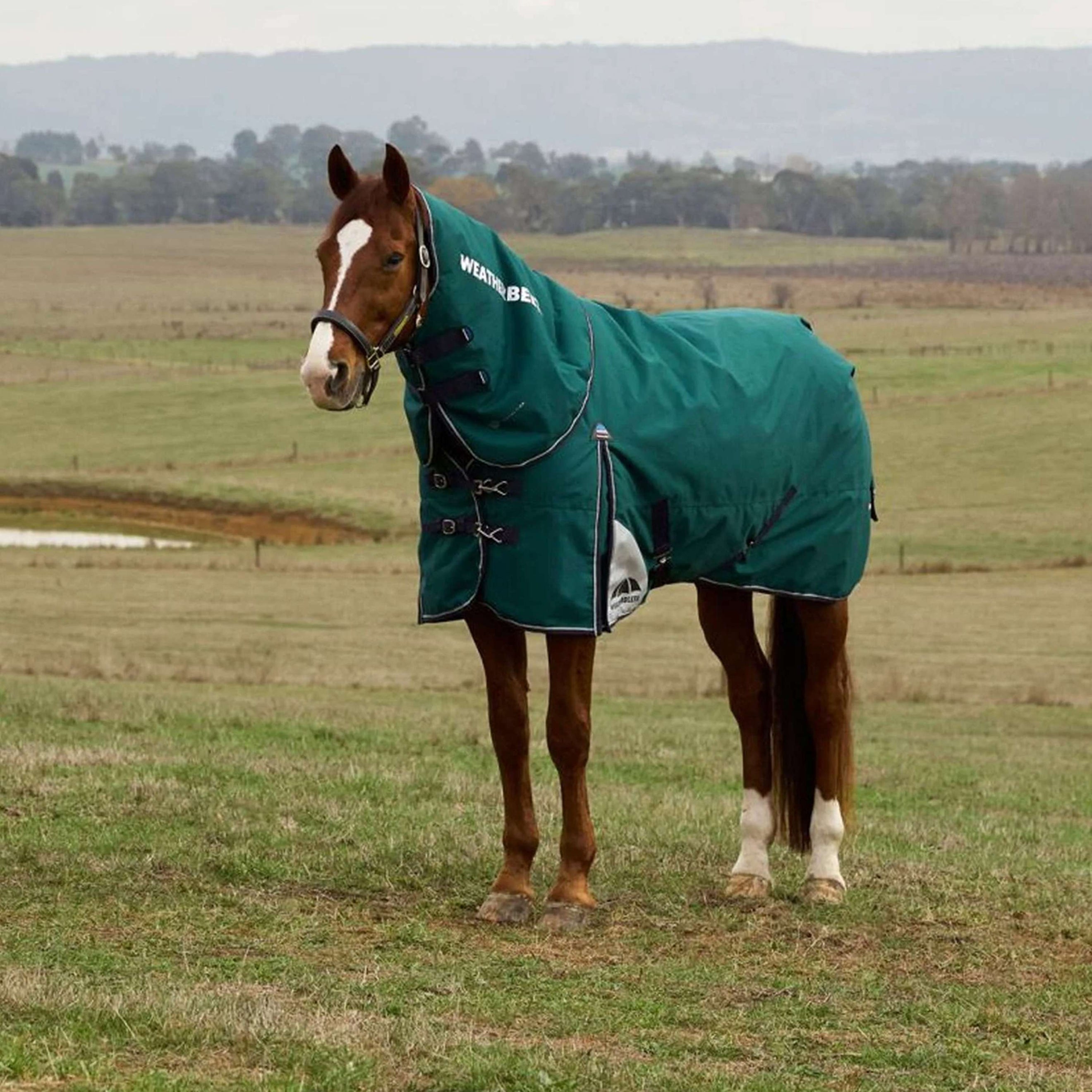 WeatherBeeta ComFiTec Plus Dynamic Turnout Detach-A-Neck 100g Forest Green/Navy