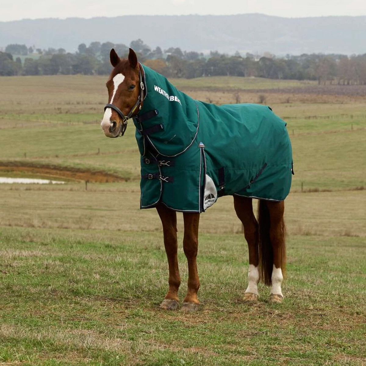 WeatherBeeta ComFiTec Plus Dynamic Turnout Detach-A-Neck 100g Forest Green/Navy