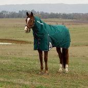 WeatherBeeta ComFiTec Plus Dynamic Turnout Detach-A-Neck 100g Forest Green/Navy