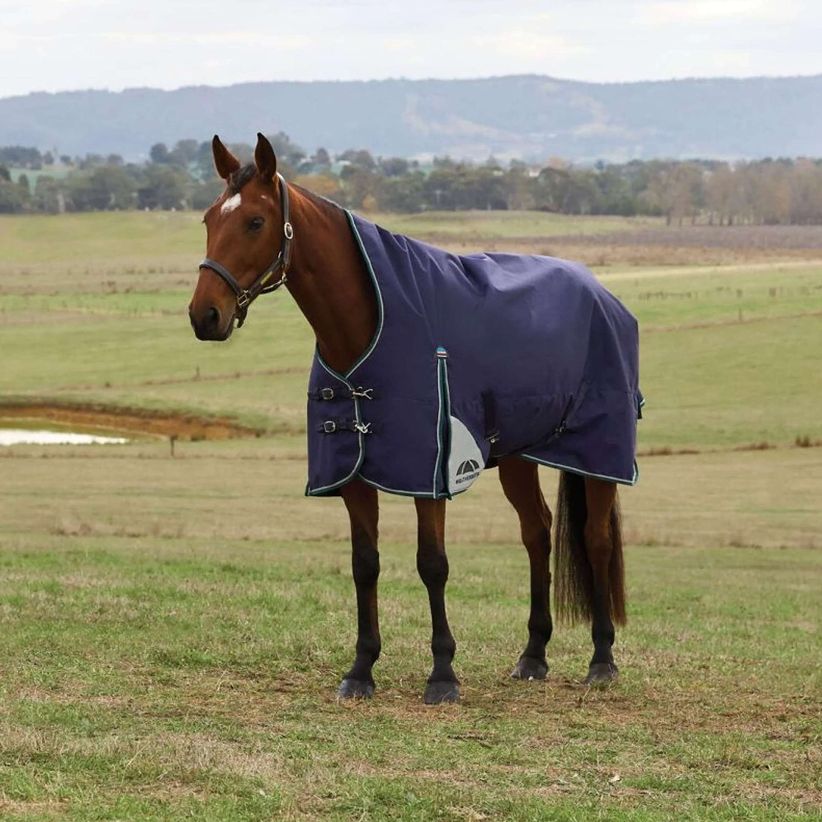 WeatherBeeta ComFiTec Plus Dynamic Turnout High Neck 220g Navy/Forest Green