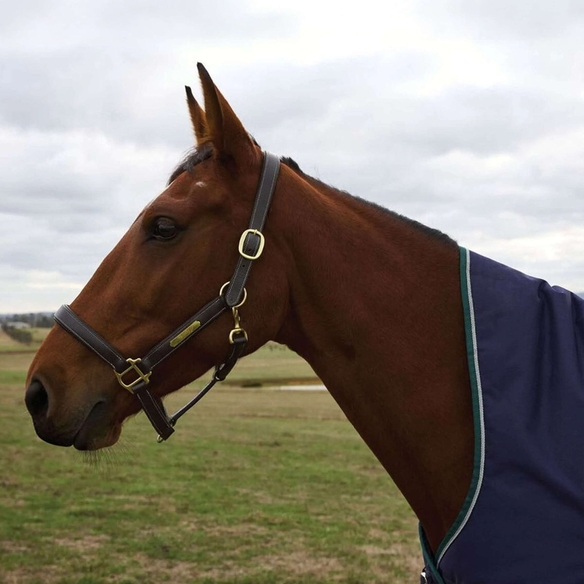 WeatherBeeta ComFiTec Plus Dynamic Turnout High Neck 220g Navy/Forest Green