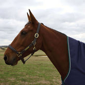 WeatherBeeta ComFiTec Plus Dynamic Turnout High Neck 220g Navy/Forest Green