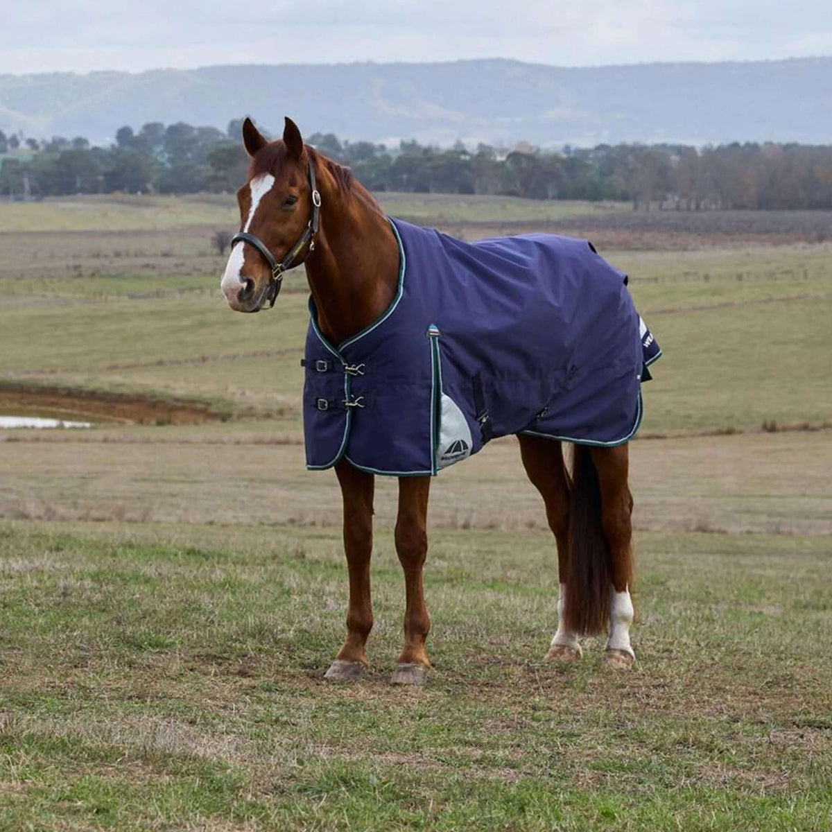 WeatherBeeta ComFiTec Plus Dynamic Turnout 0g Navy/Forest Green