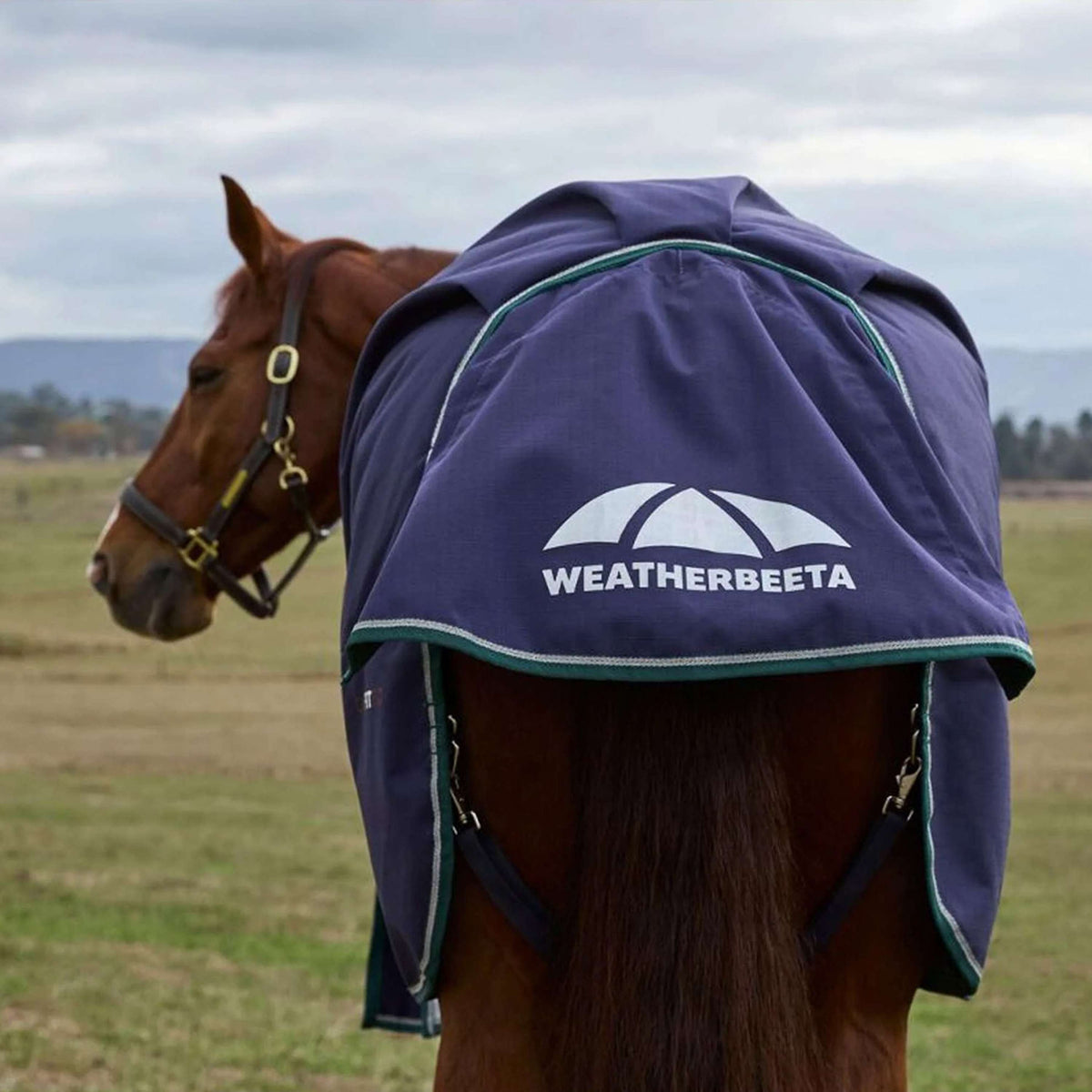 WeatherBeeta ComFiTec Plus Dynamic Turnout 0g Navy/Forest Green