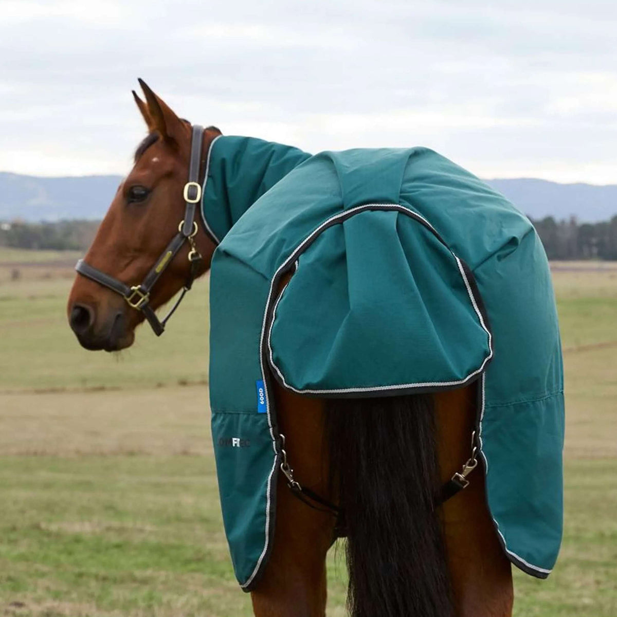 WeatherBeeta ComFiTec Classic Turnout Combo 360g Forest Green/Black