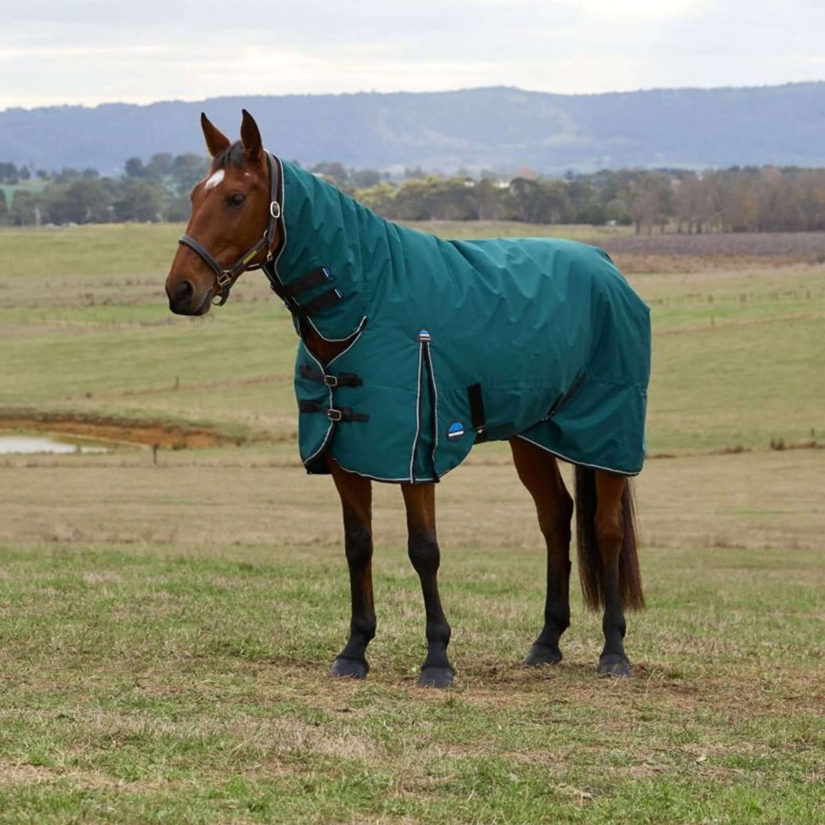 WeatherBeeta ComFiTec Classic Turnout Combo 360g Forest Green/Black