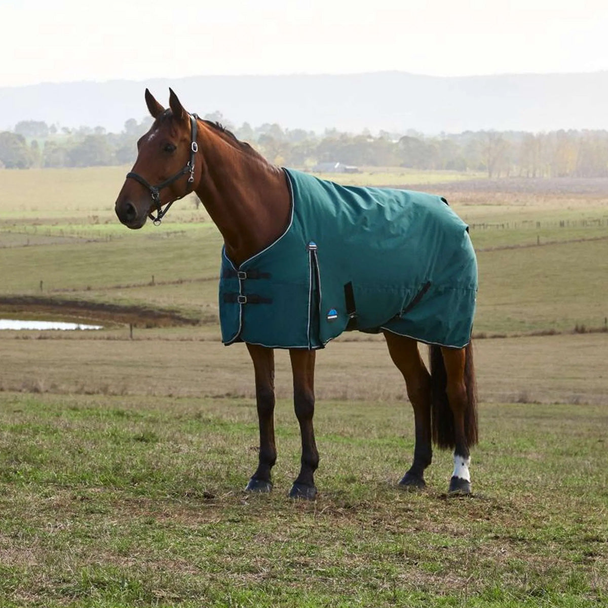 WeatherBeeta ComFiTec Classic Turnout 220g Forest Green/Black