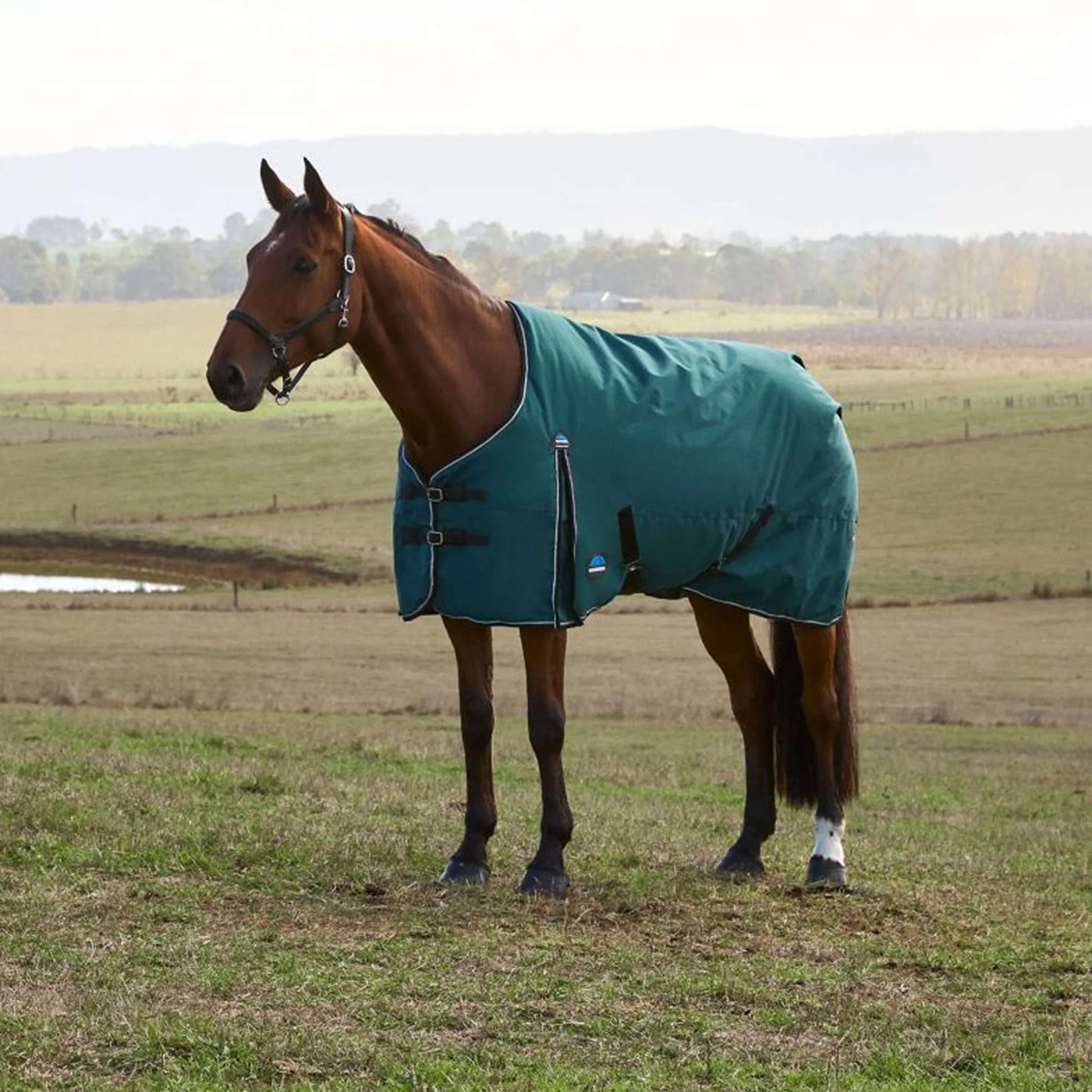 WeatherBeeta ComFiTec Classic Turnout 220g Forest Green/Black