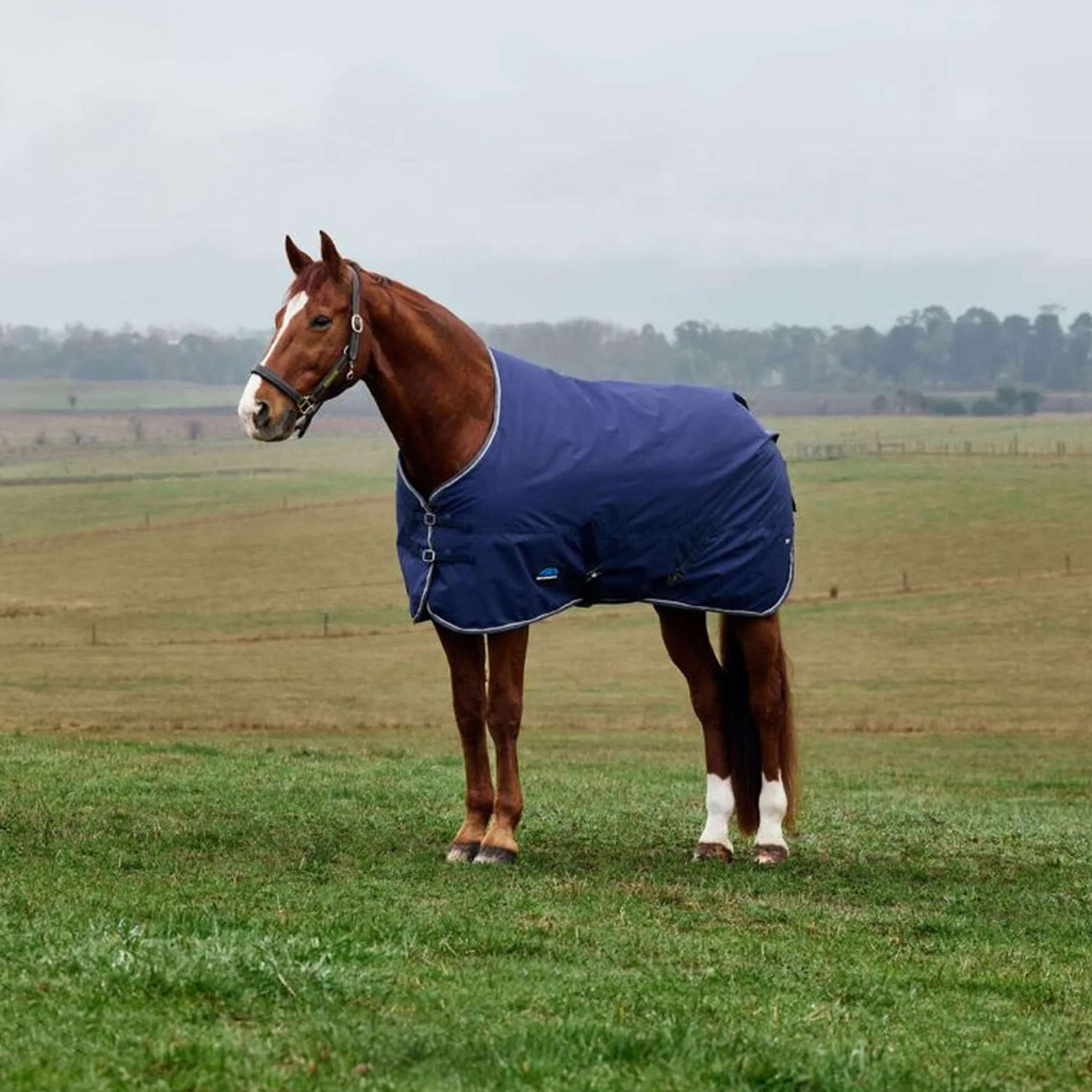 WeatherBeeta ComFiTec Tyro Turnout Standard Neck 50g Navy/Kohle