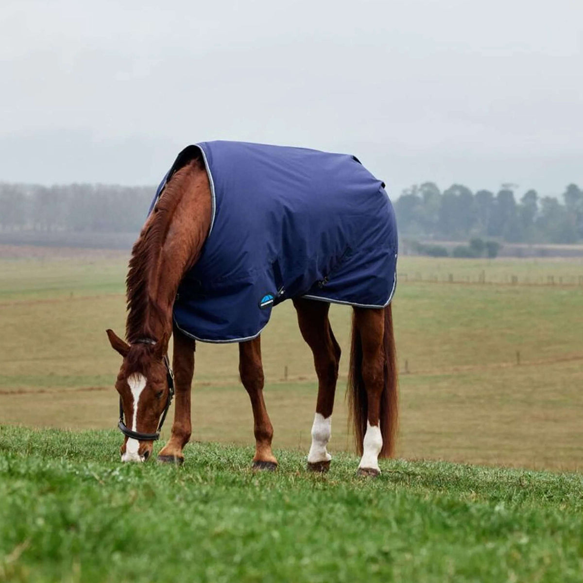 WeatherBeeta ComFiTec Tyro Turnout Standard Neck 220g Navy/Kohle