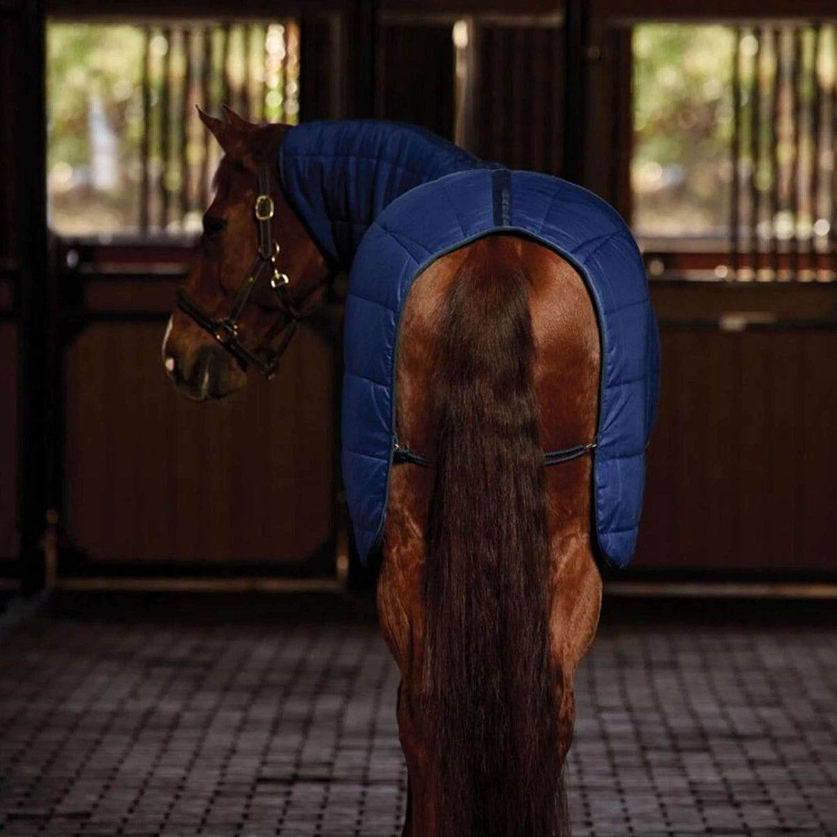 WeatherBeeta Unterdecken ComFiTec Combo Neck 220g Navy