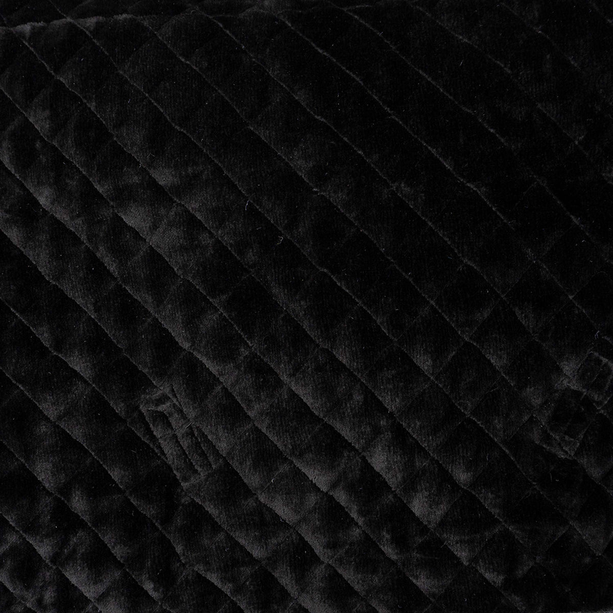 ANKY Showdecke Victory ATB24006 Schwarz