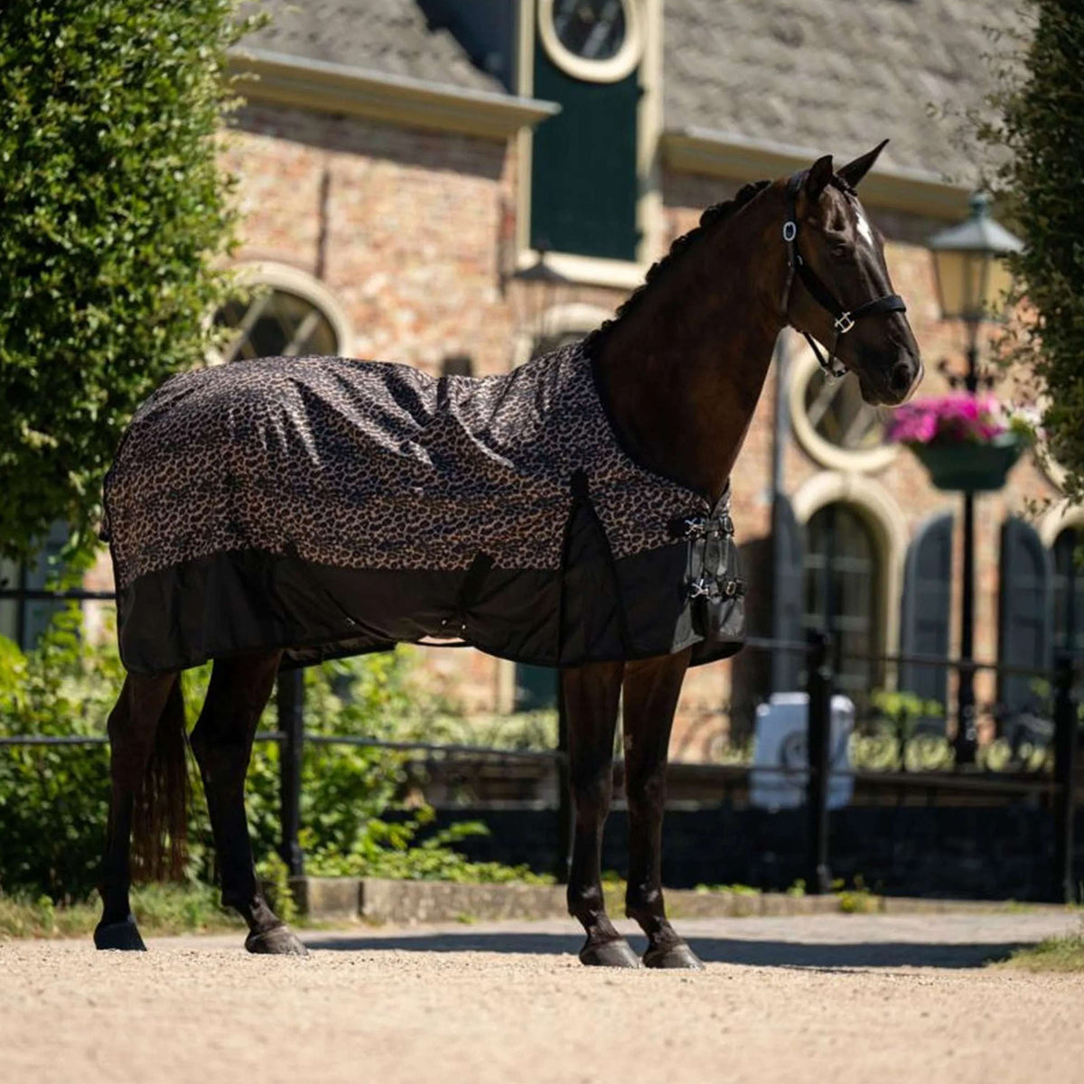 HB Outdoordecke Leopard 0g Leopard