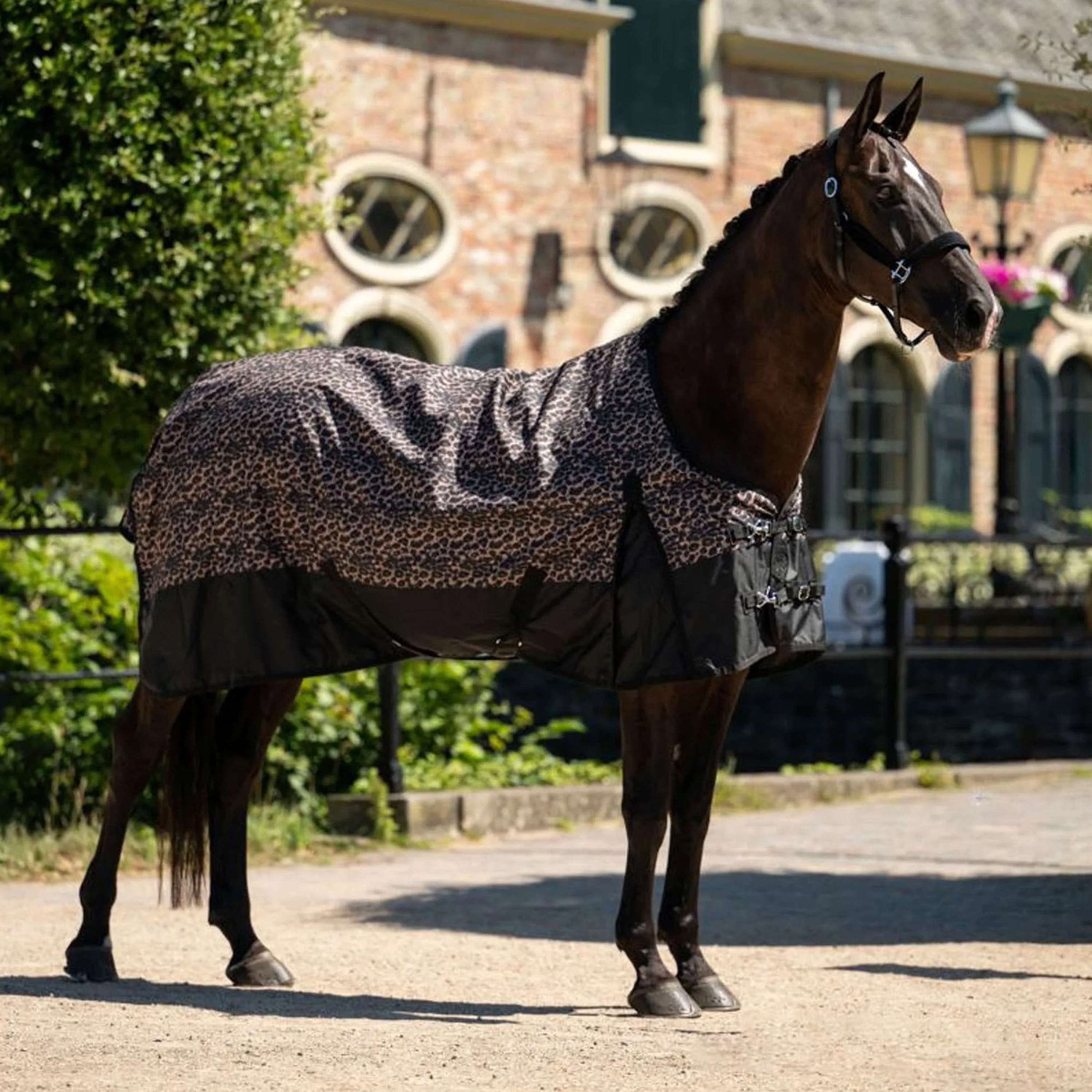 HB Outdoordecke Leopard 0g Leopard HB Outdoordecke Leopard 0g Leopard