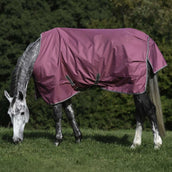 Bucas Freedom Turnout Light 0g Himbeerrot