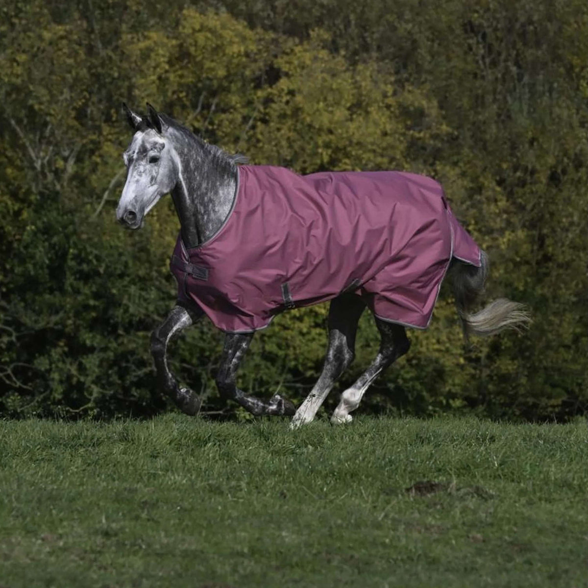 Bucas Freedom Turnout Light 0g Himbeerrot