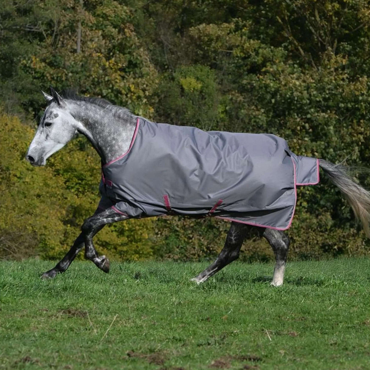 Bucas Freedom Turnout Light 0g Smoke Grey