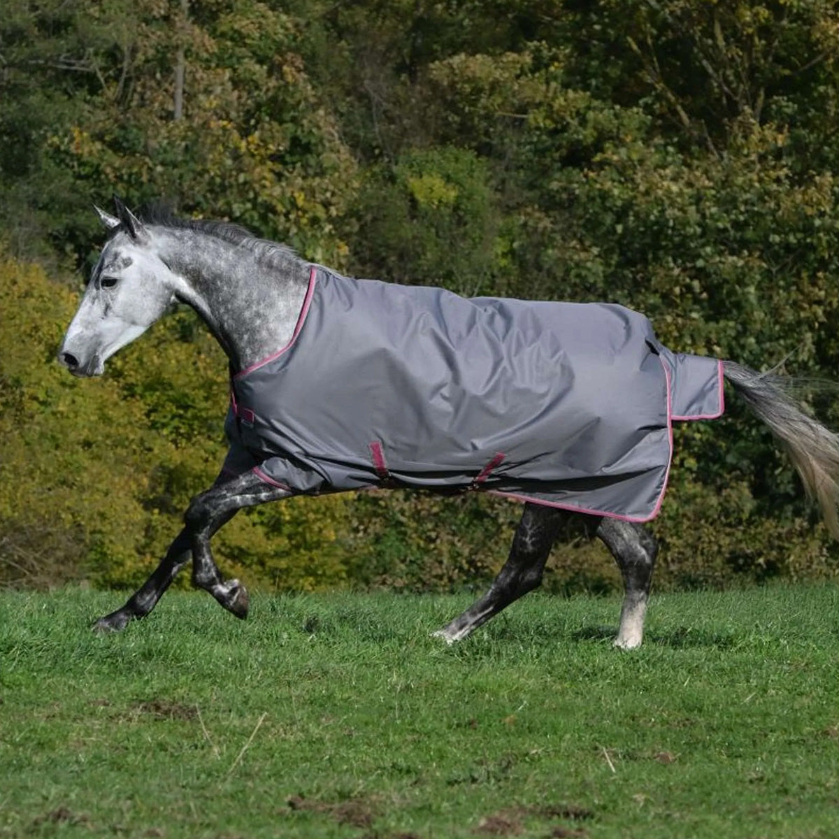 Bucas Freedom Turnout Light 0g Smoke Grey