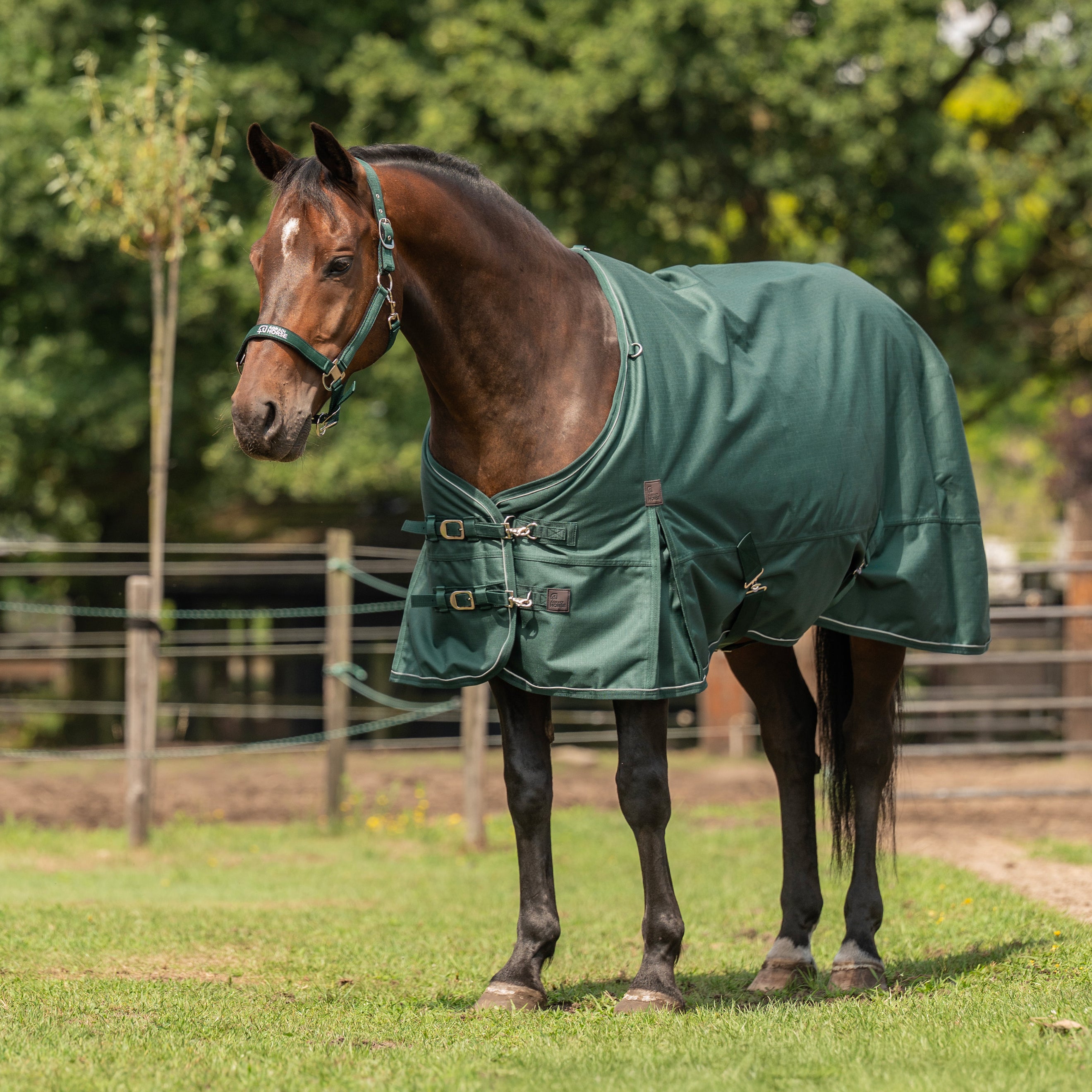 Agradi Horse Outdoordecke 1200D 0gr Reflektierende Paspelierung Grün