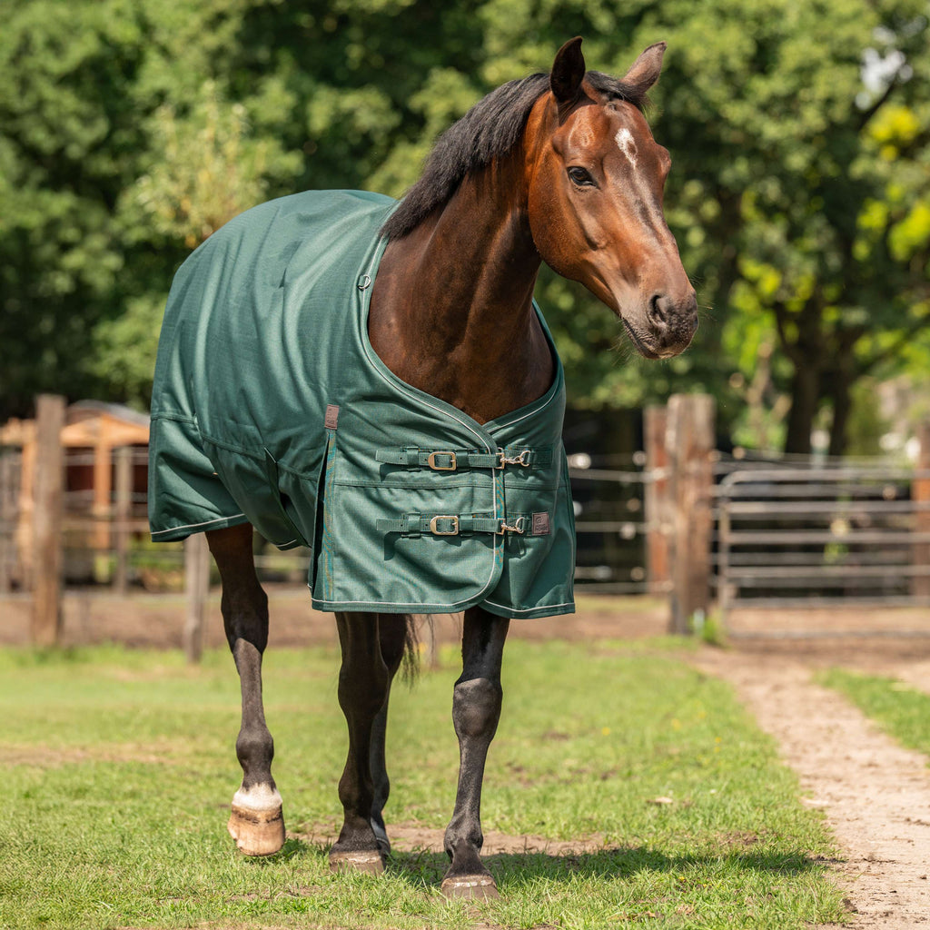 Agradi Horse Outdoordecke 1200D 150gr Reflektierende Paspelierung Grün