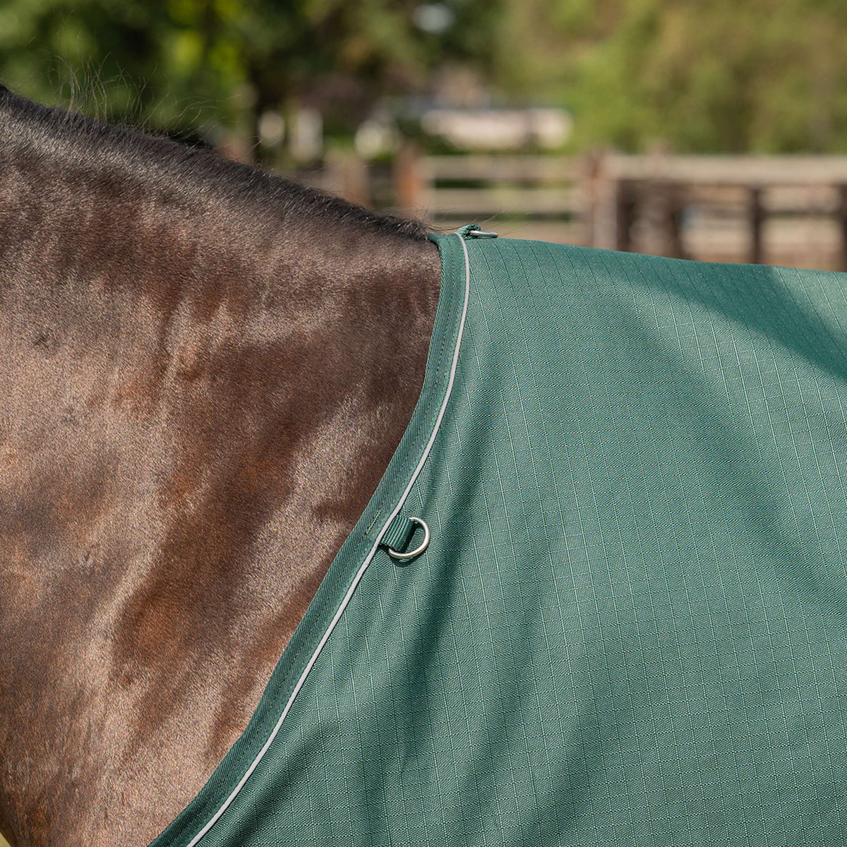 Agradi Horse Outdoordecke 1200D 300gr Reflektierende Paspelierung Grün