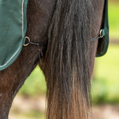 Agradi Horse Ausreitdecke 1200D Reflektierende Paspelierung Grün