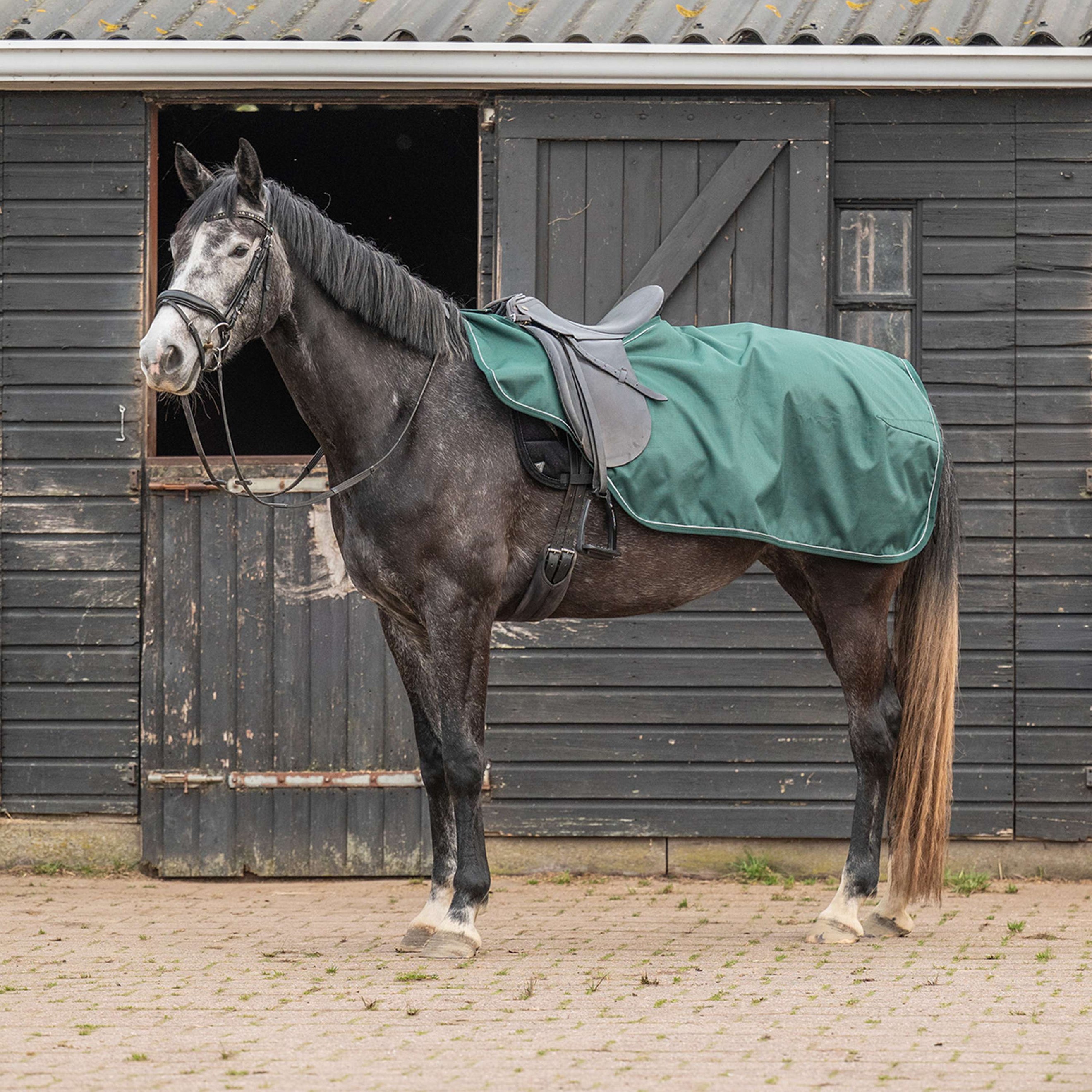 Agradi Horse Ausreitdecke 1200D Reflektierende Paspelierung Grün