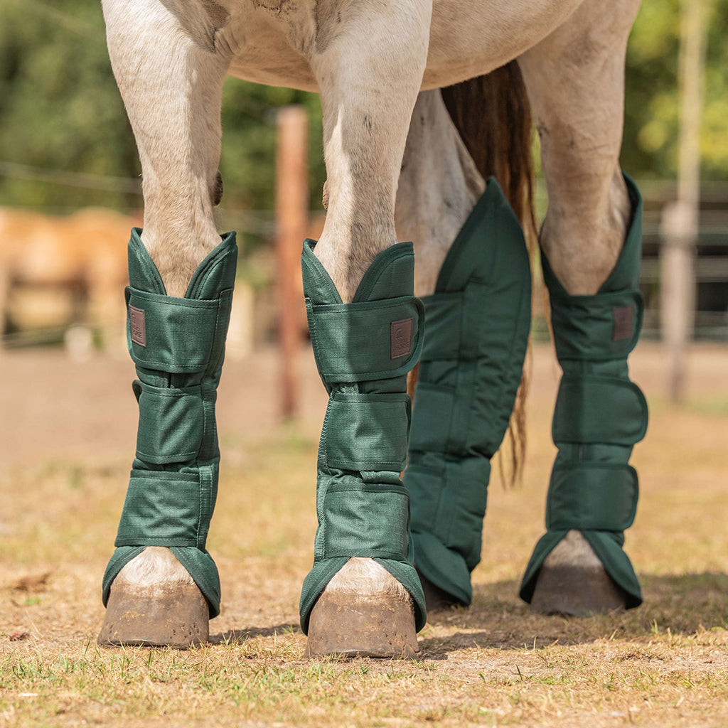 Agradi Horse Transportgamaschen 1200D Grün